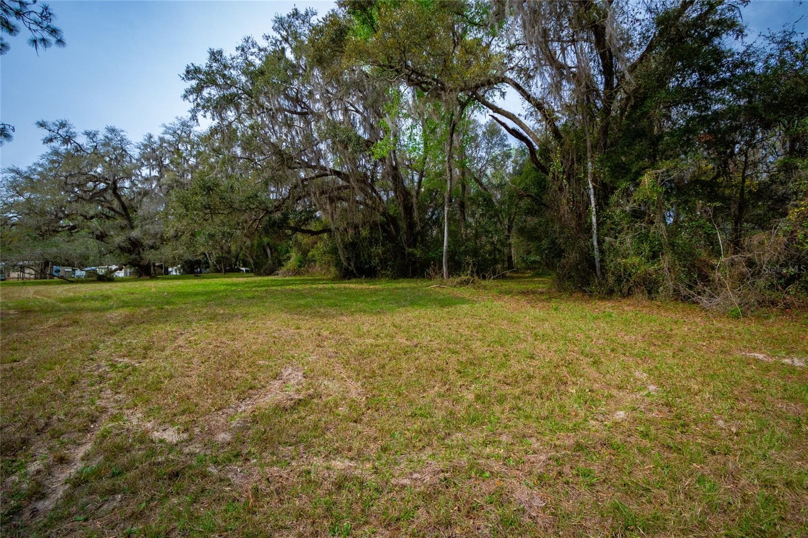 Land at 7822 CR 647, BUSHNELL, photo 12 of 29