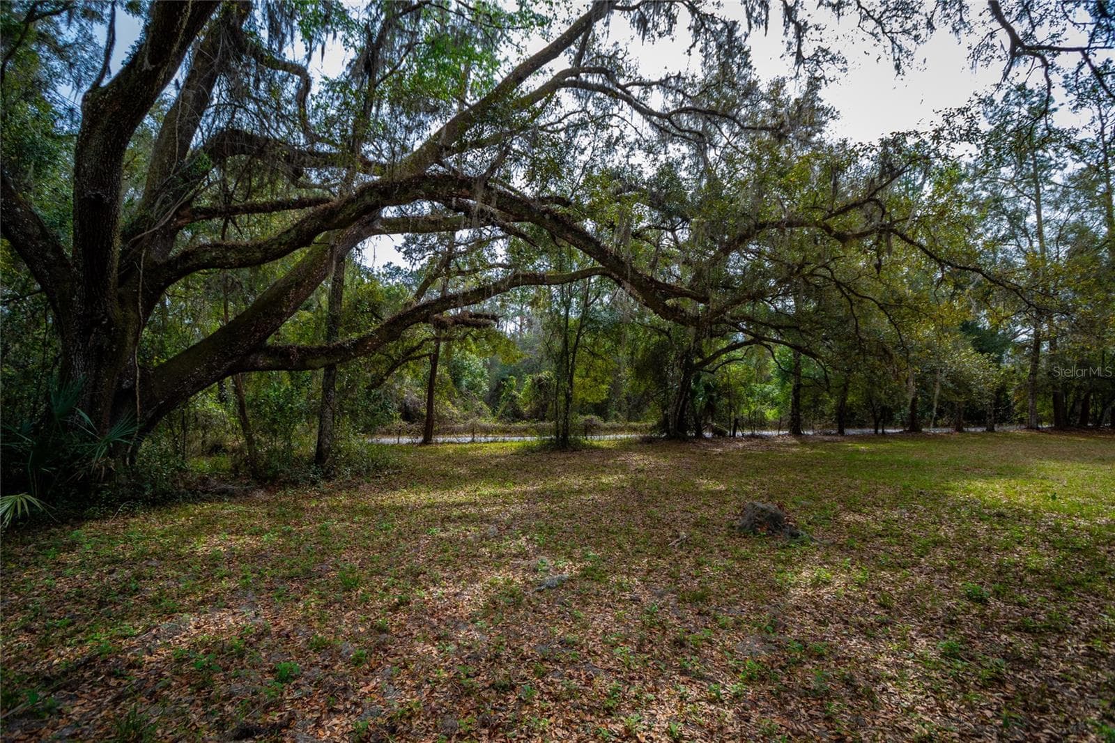 Land at 7822 CR 647, BUSHNELL, photo 13 of 29