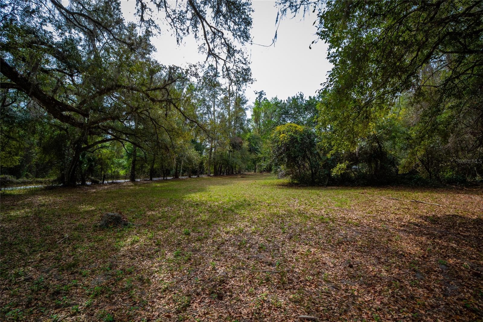 Land at 7822 CR 647, BUSHNELL, photo 14 of 29