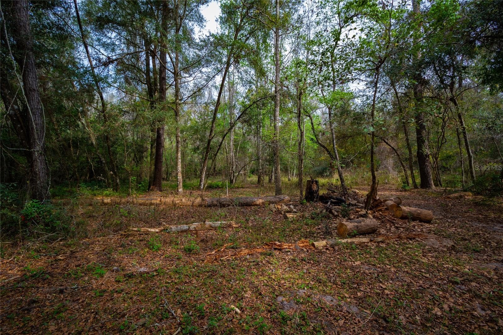 Land at 7822 CR 647, BUSHNELL, photo 17 of 29