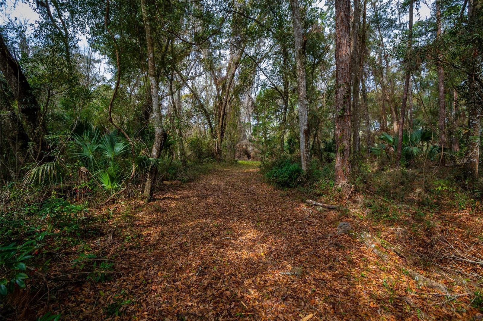 Land at 7822 CR 647, BUSHNELL, photo 18 of 29