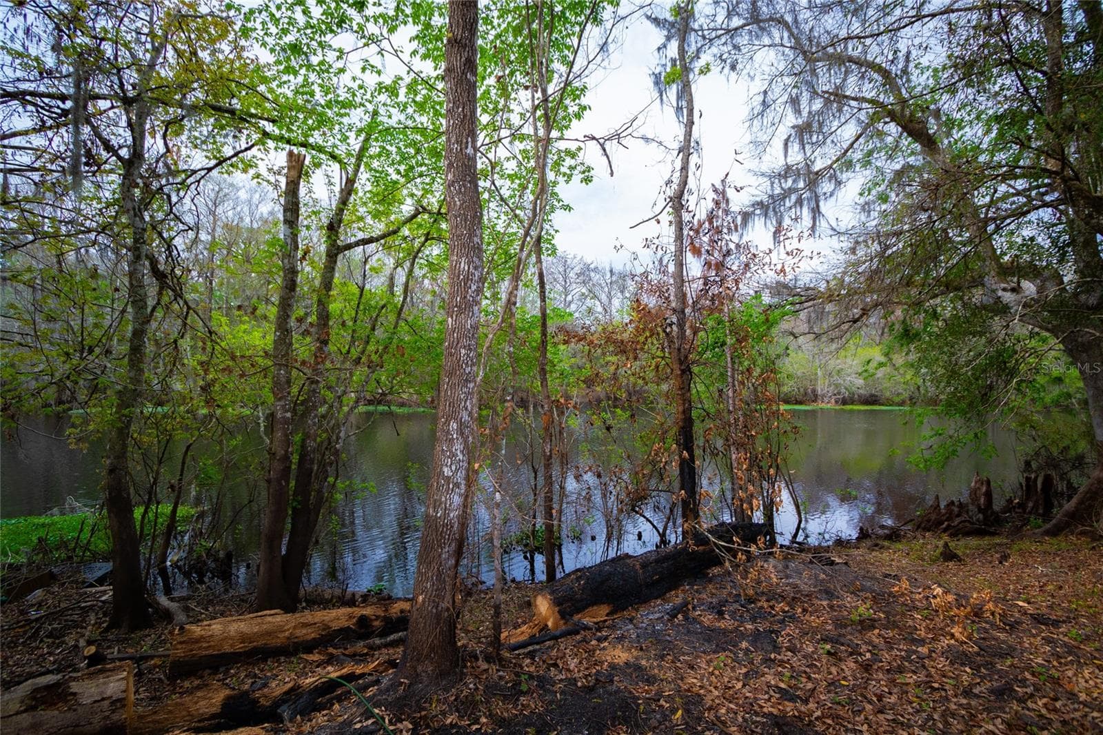 Land at 7822 CR 647, BUSHNELL, photo 19 of 29