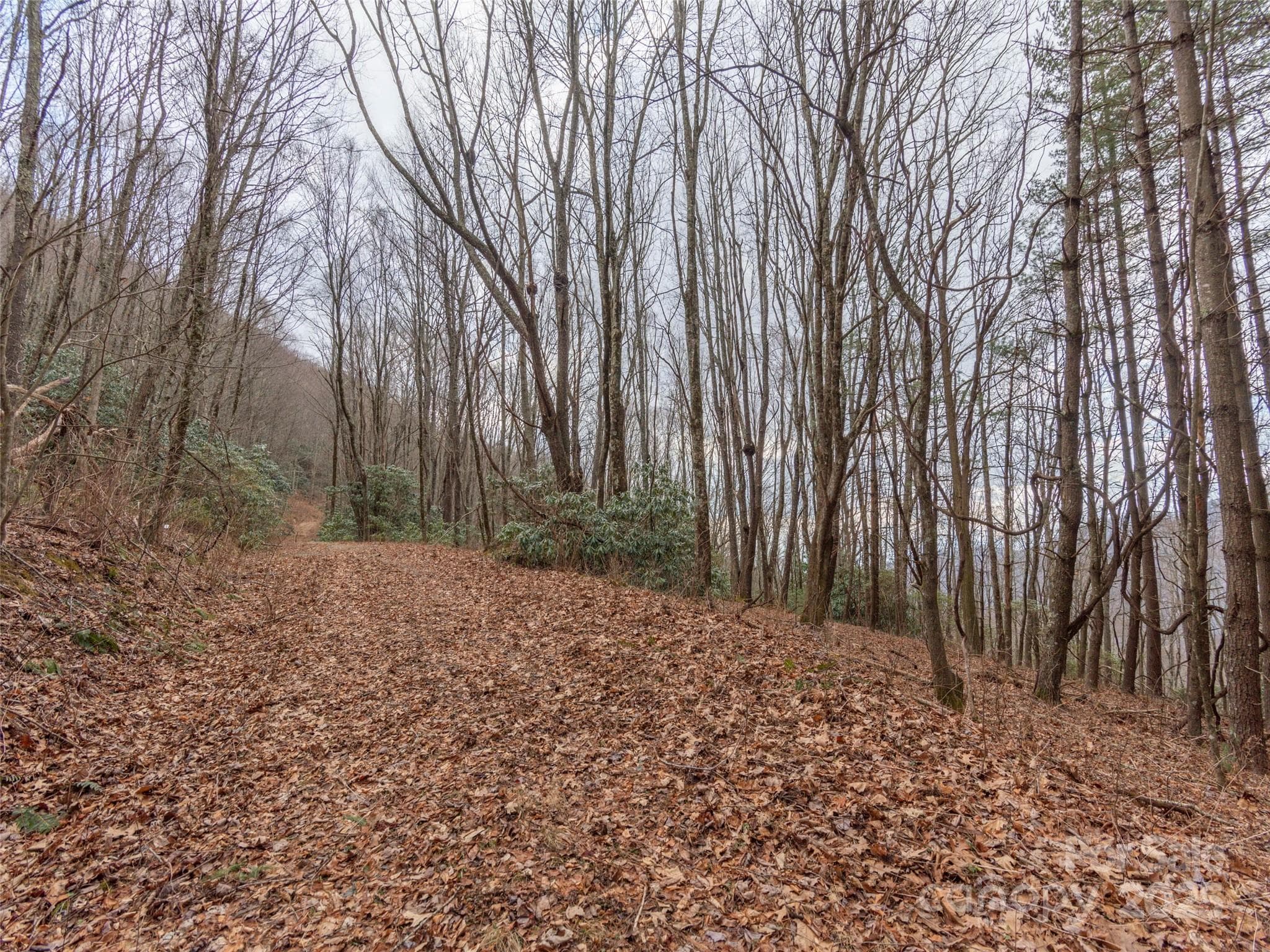 Acreage at Clyde, photo 2 of 12