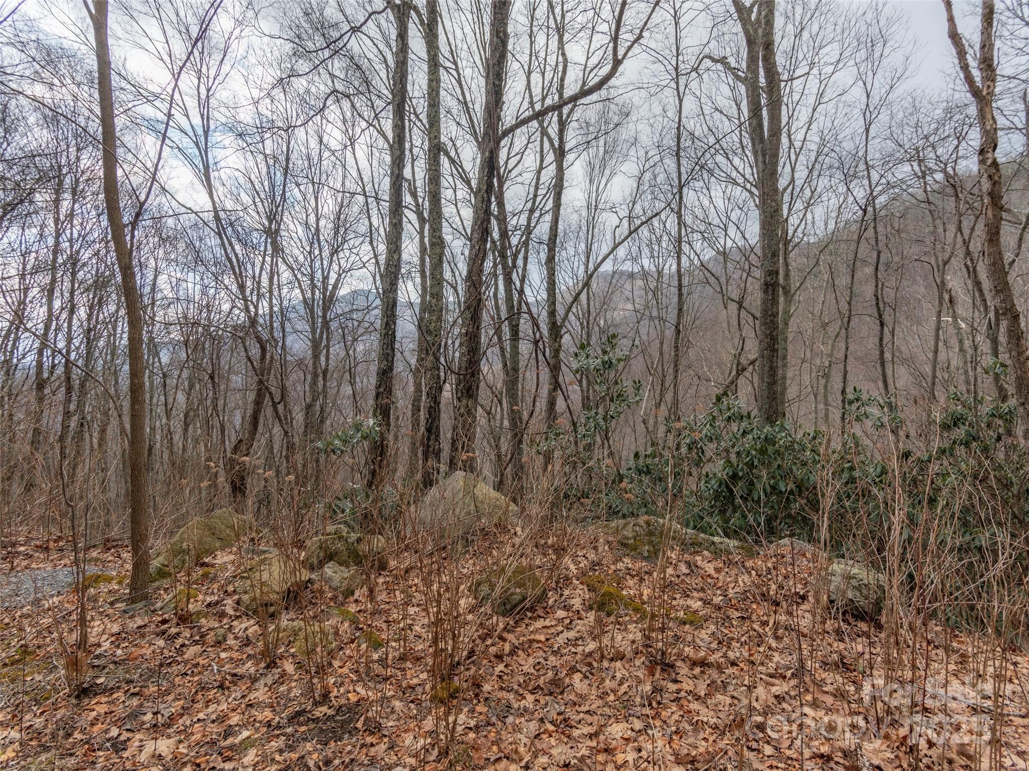 Acreage at Clyde, photo 4 of 12