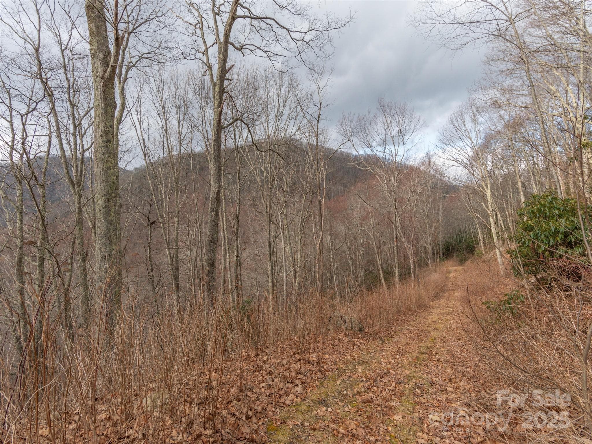 Acreage at Clyde, photo 5 of 12