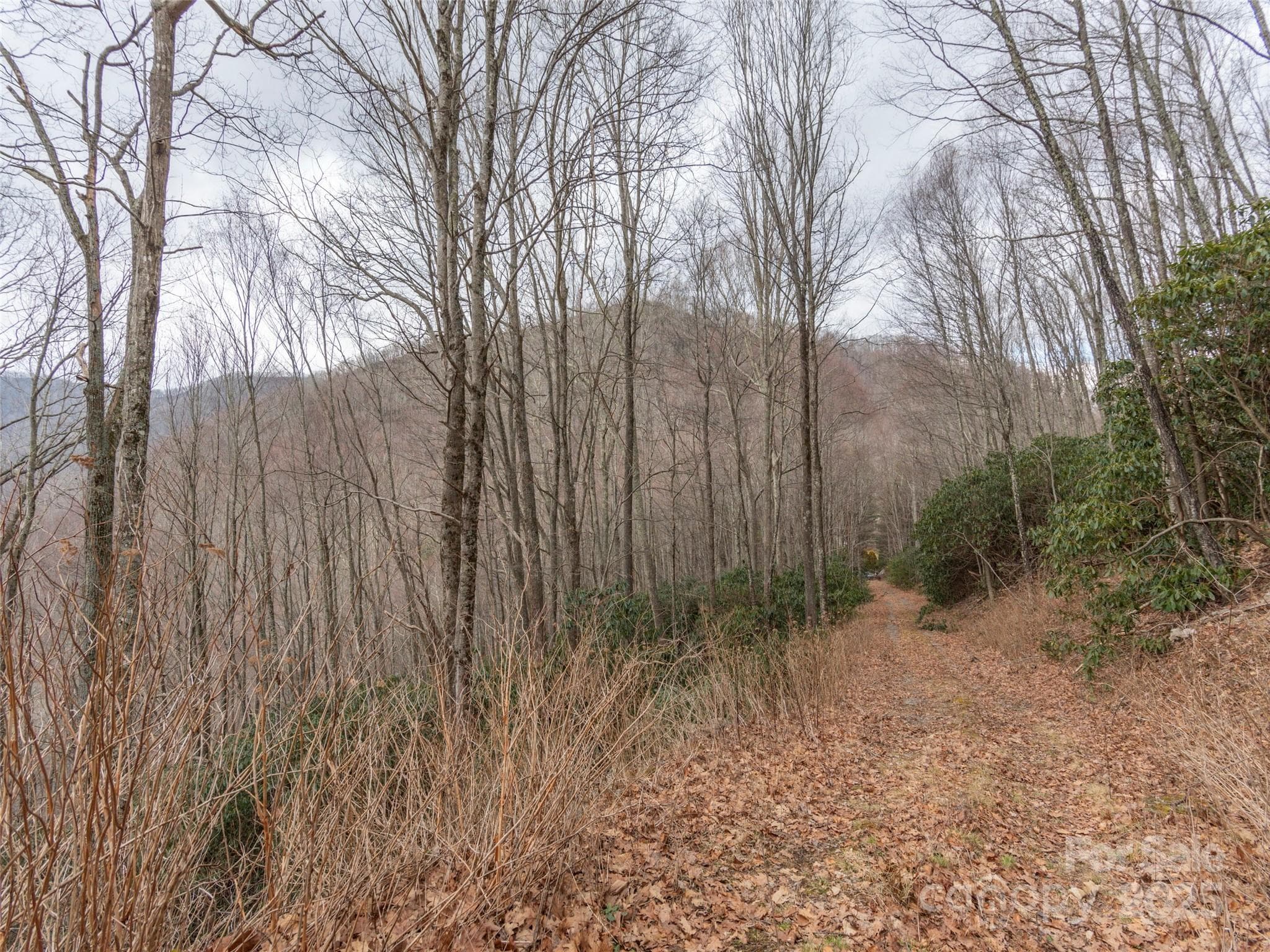 Acreage at Clyde, photo 6 of 12