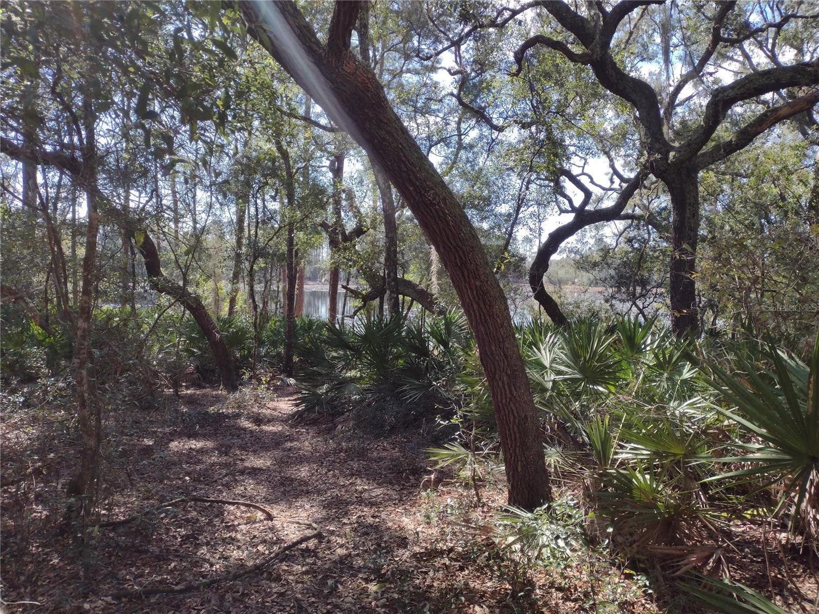 89 TUCKER LAKE RD