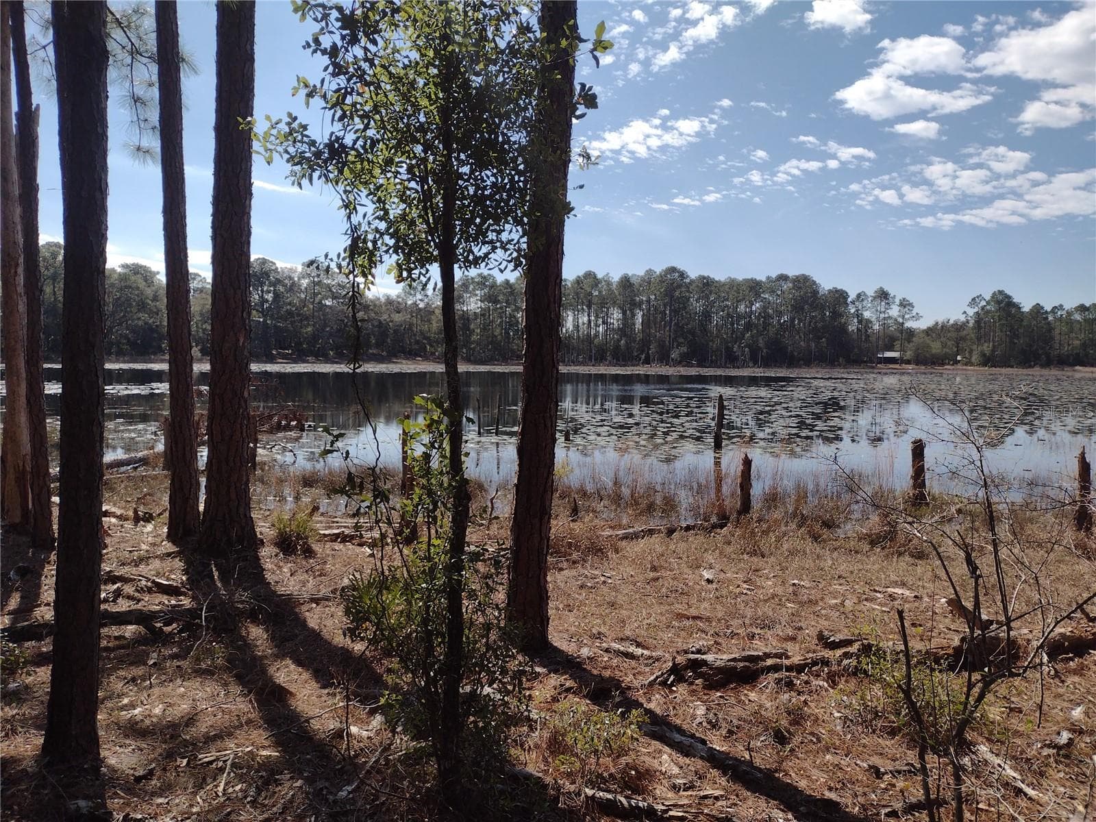 Land at 89 TUCKER LAKE RD, MELROSE, photo 2 of 6
