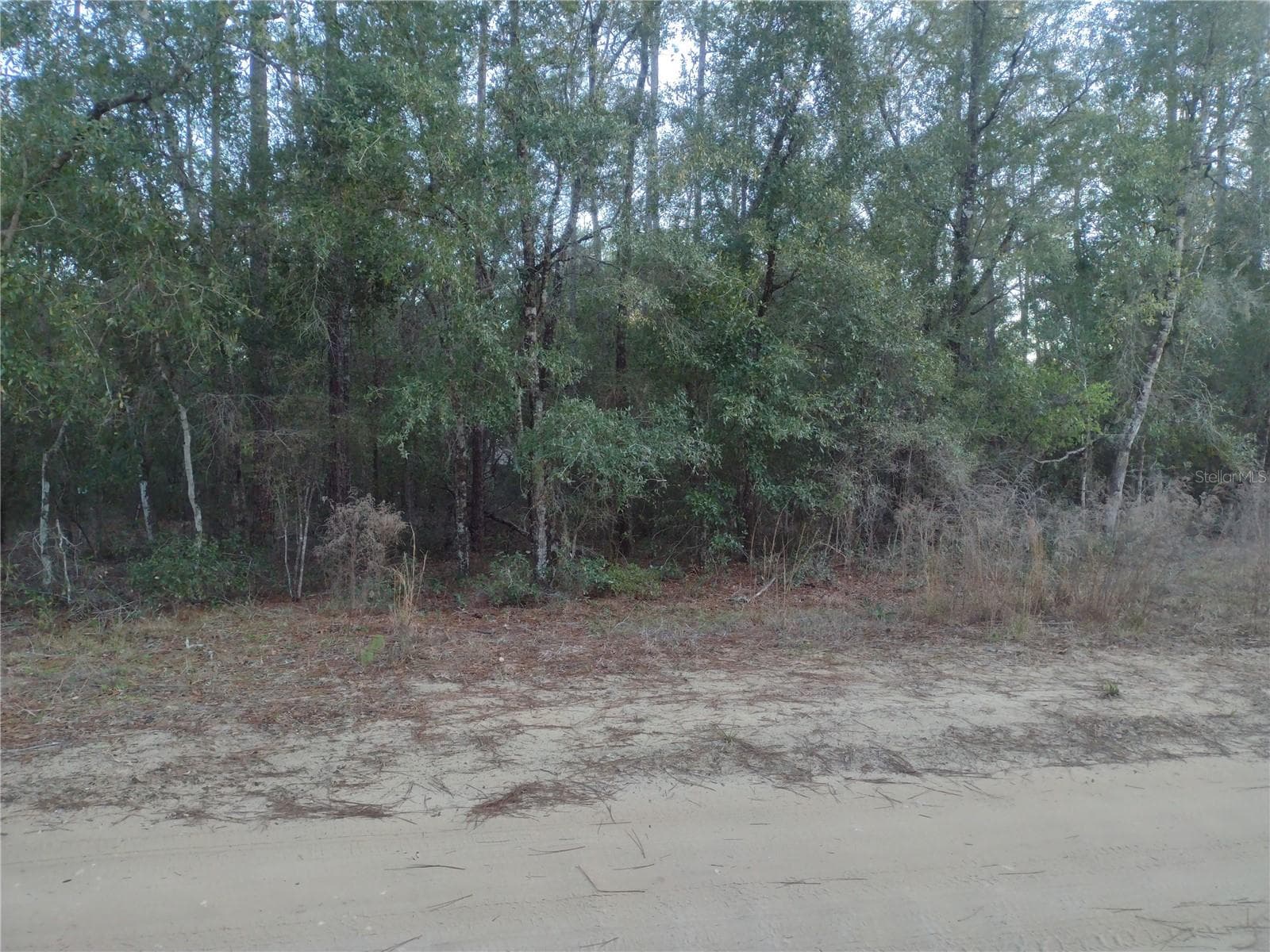 Land at 89 TUCKER LAKE RD, MELROSE, photo 3 of 6