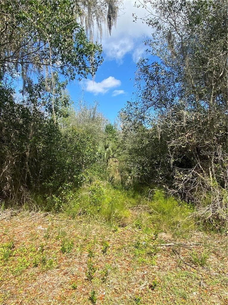 Land at W BERESFORD RD, DELAND, photo 2 of 5