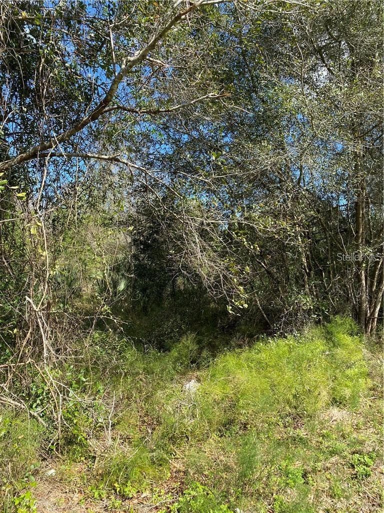 Land at W BERESFORD RD, DELAND, photo 3 of 5
