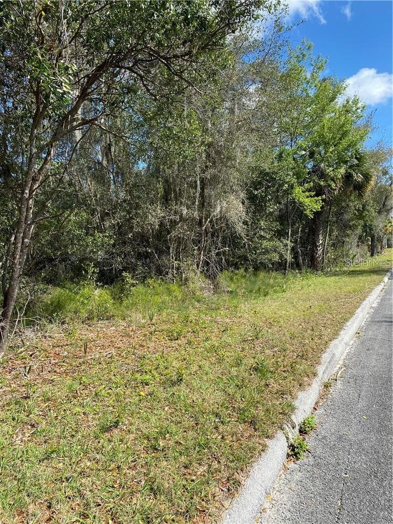 Land at W BERESFORD RD, DELAND, photo 4 of 5