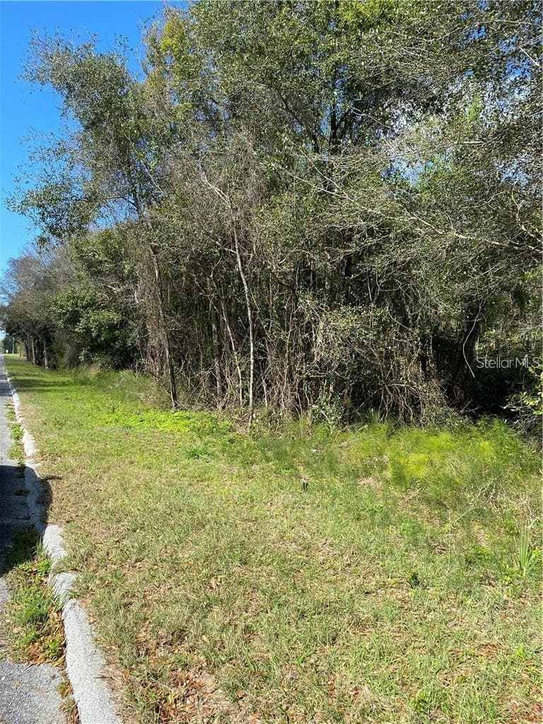 Land at W BERESFORD RD, DELAND, photo 5 of 5