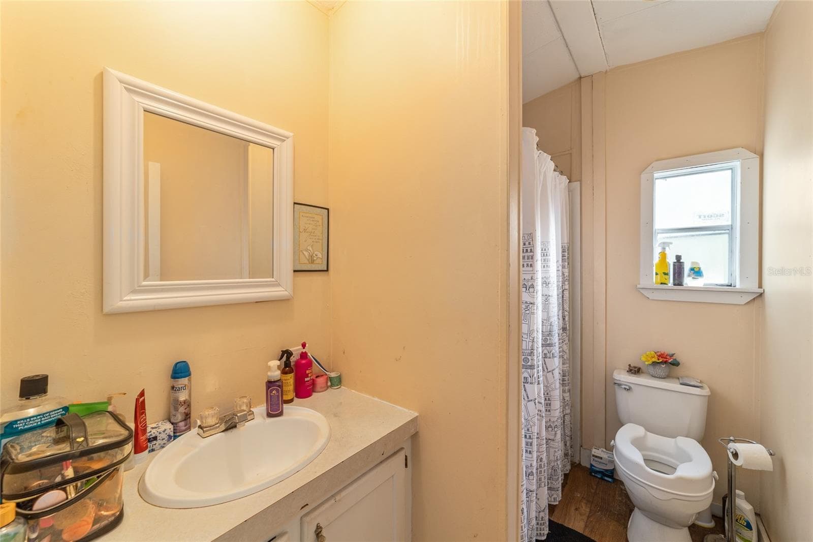 Mobile Home on Property - 6491 & 6481 SE 123RD TER, MORRISTON