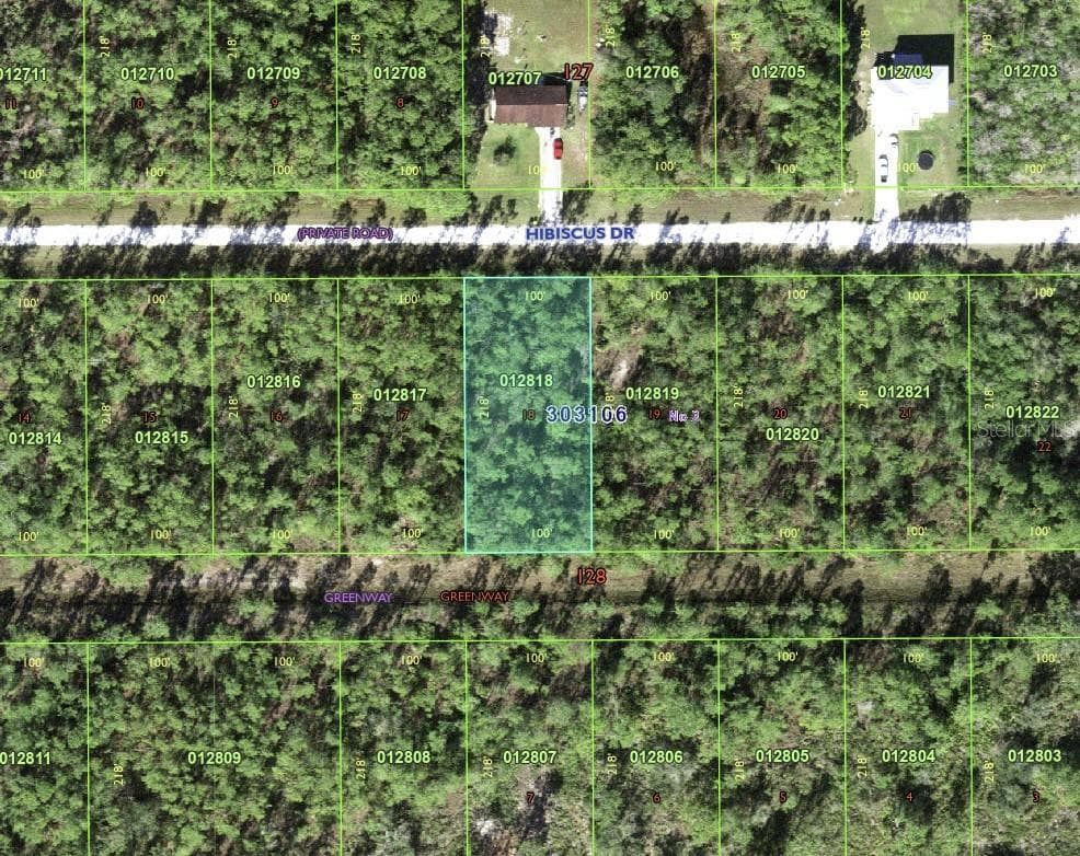 713 HIBISCUS DR