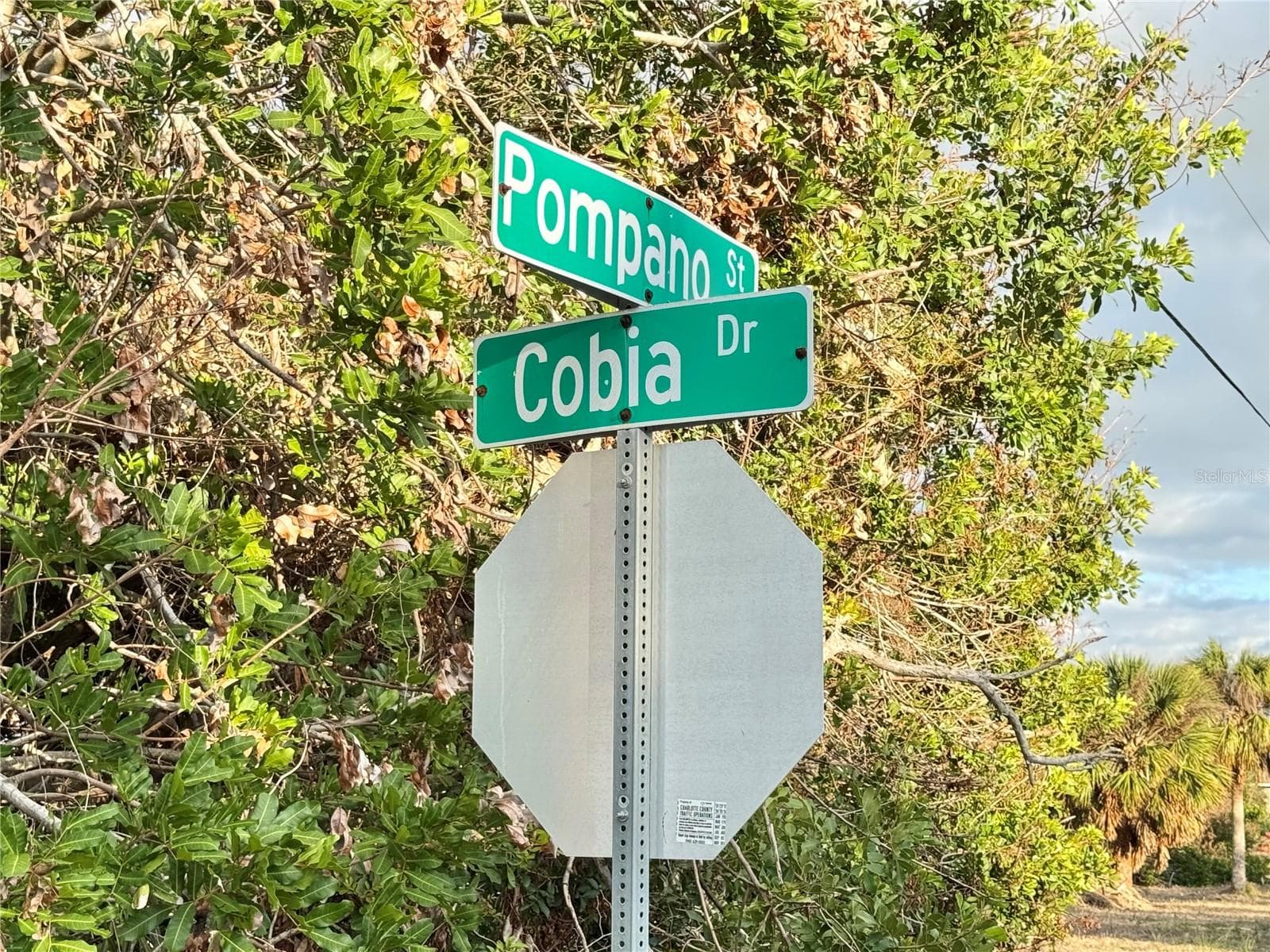 Land at 50 COBIA DR, PLACIDA, photo 8 of 8