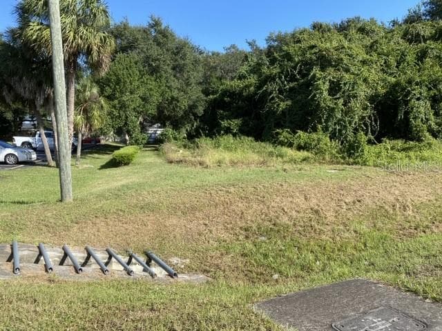 Land at US-441, EUSTIS, photo 2 of 4