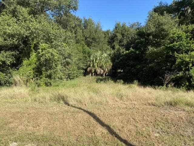 Land at US-441, EUSTIS, photo 3 of 4