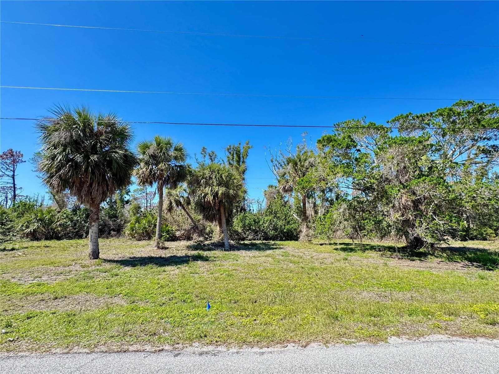 50 COBIA DR