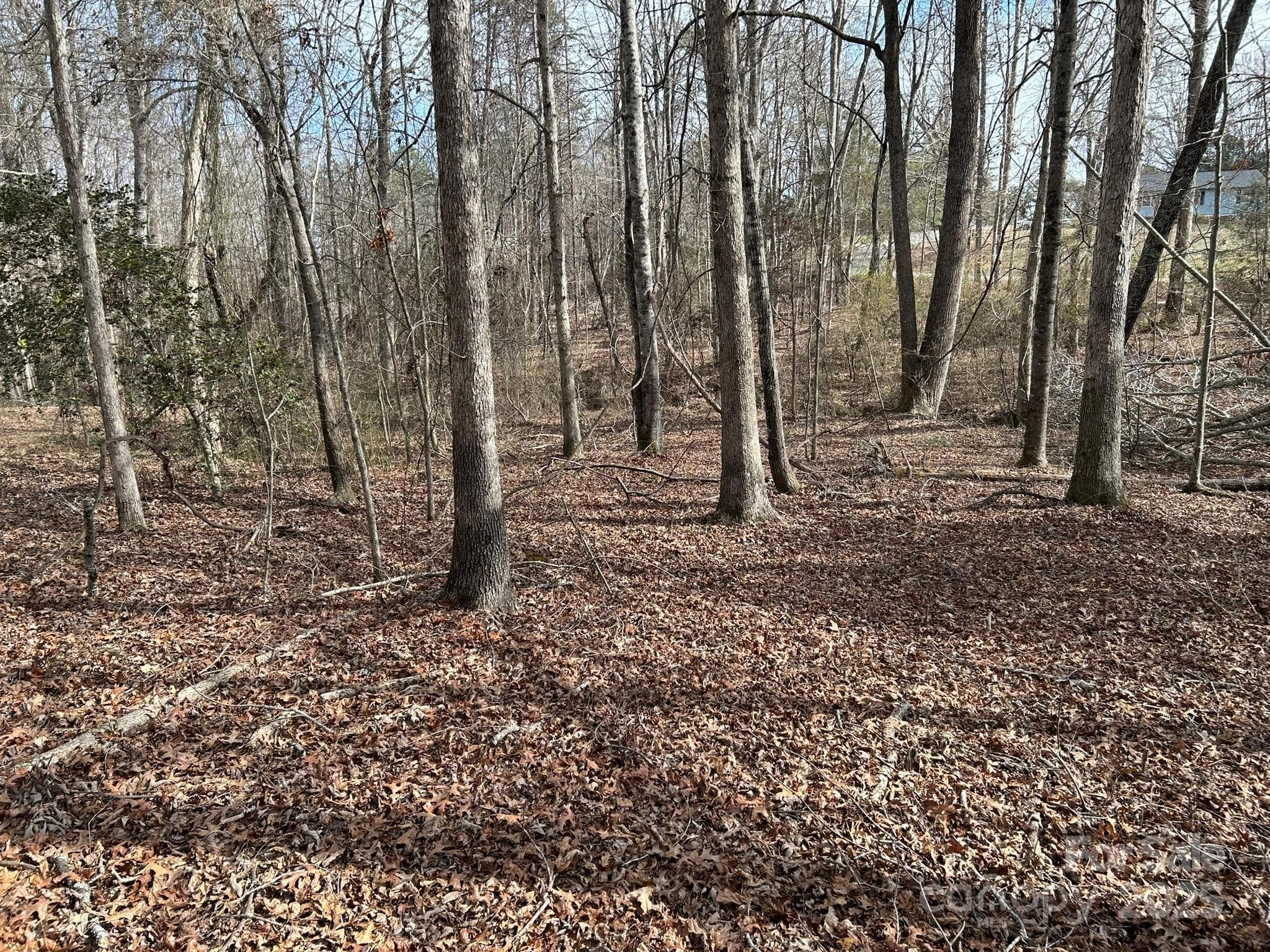 Lot at 60 & 86 W Melissa Drive, Forest City, photo 2 of 16