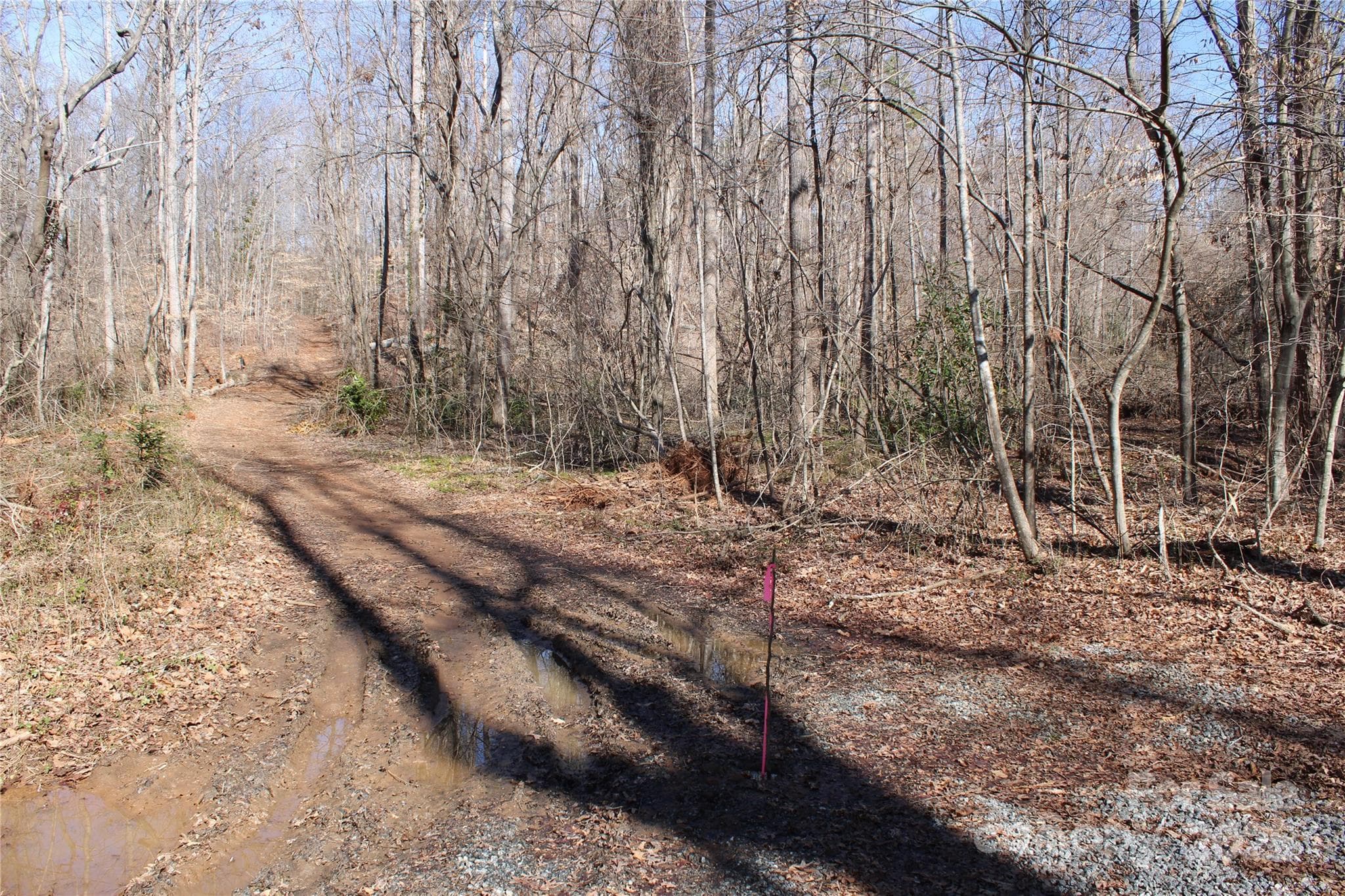 Lot at 0 Rutherford Street, Spindale, photo 3 of 11