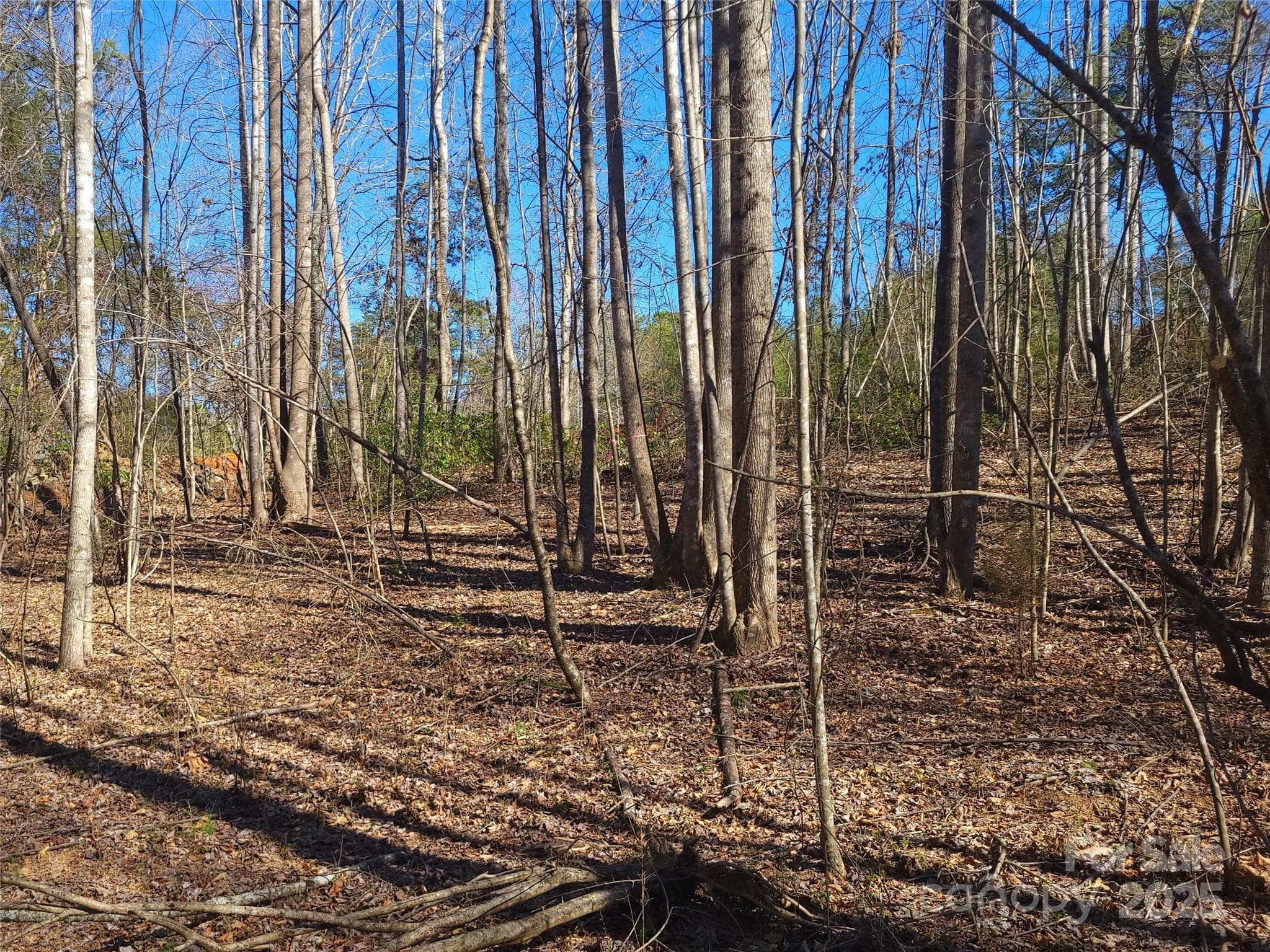 Lot at 000 Skylark Lane, Tryon, photo 8 of 16