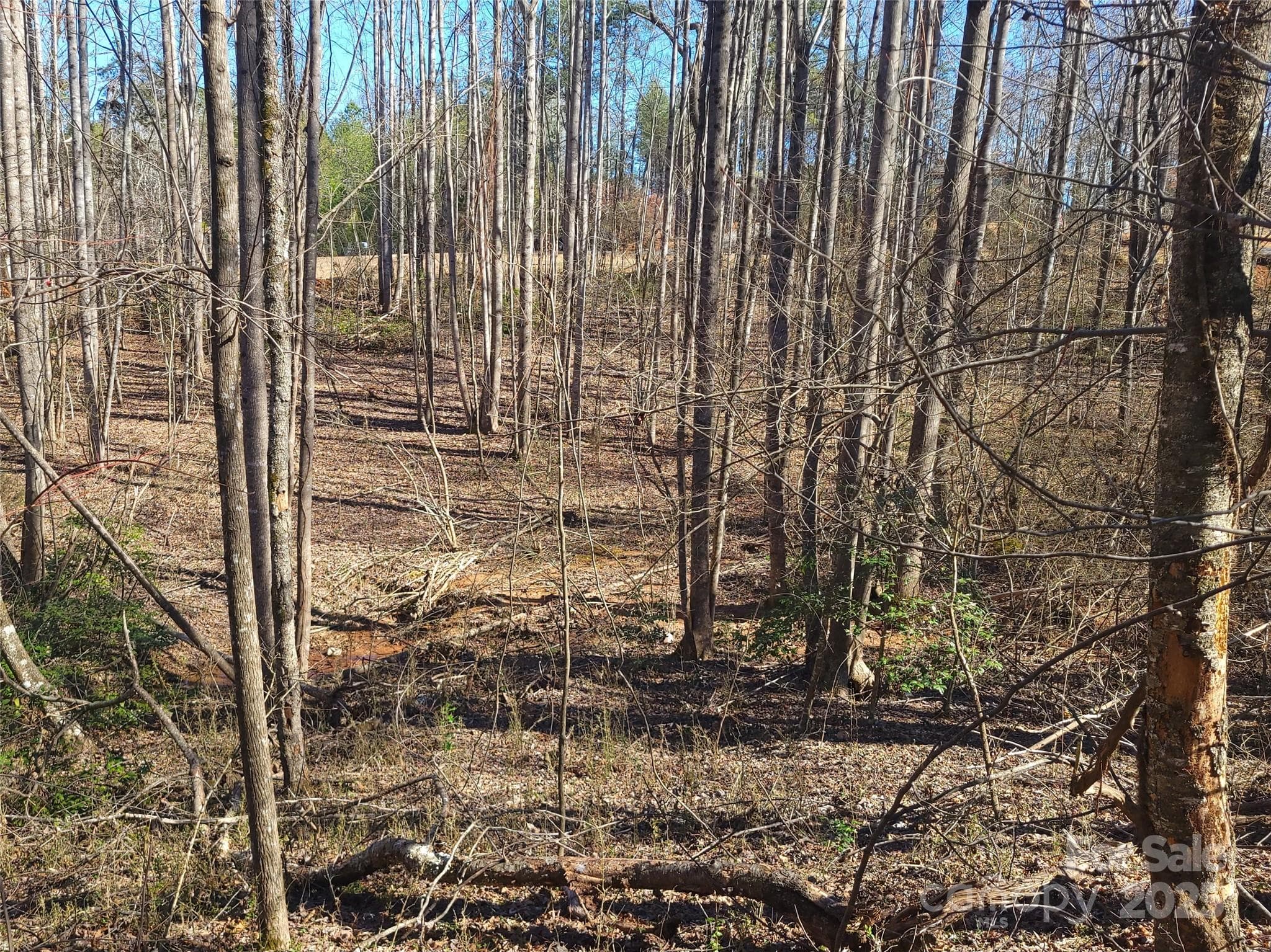 Lot at 000 Skylark Lane, Tryon, photo 11 of 16