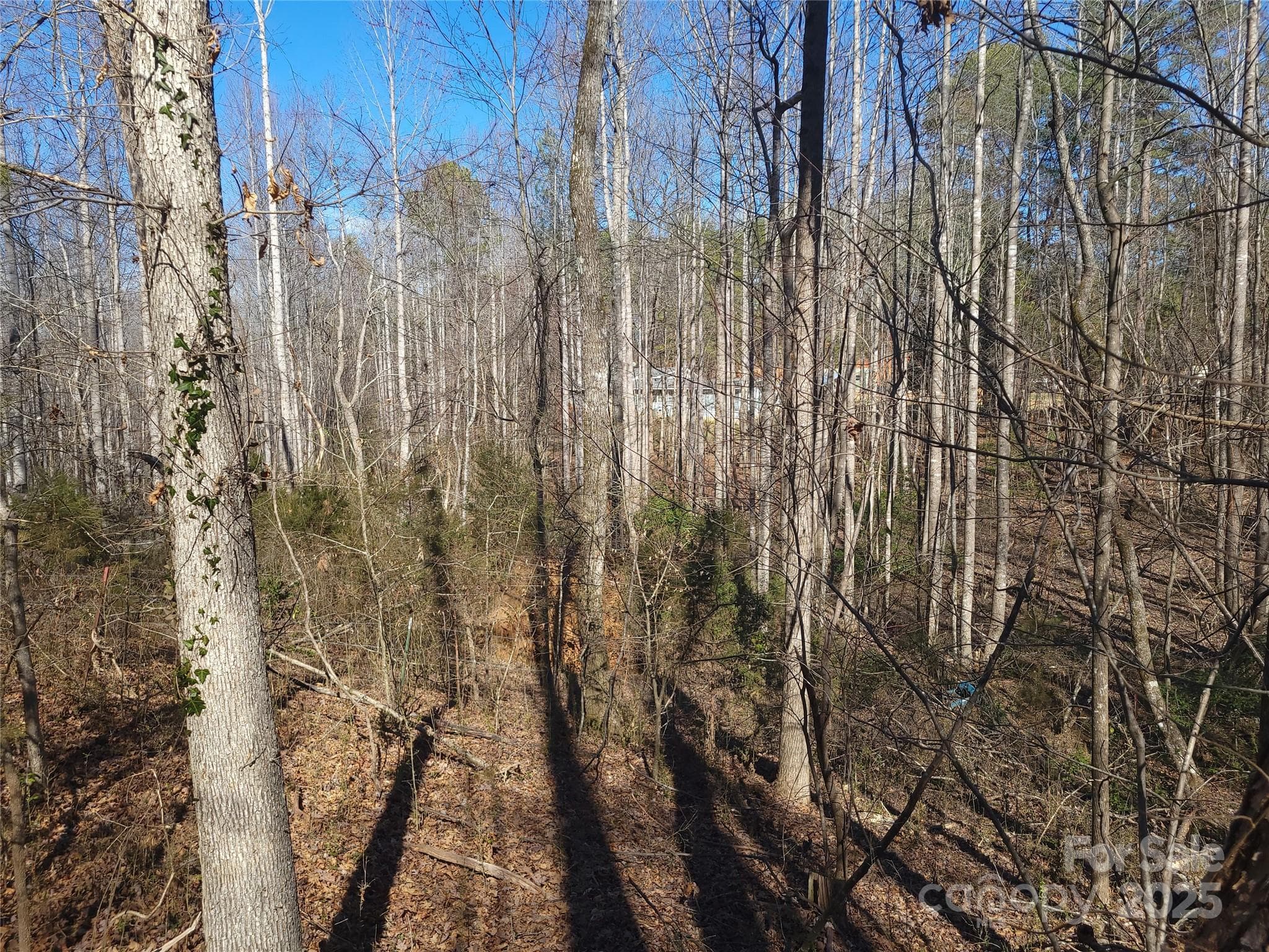 Lot at 000 Skylark Lane, Tryon, photo 12 of 16