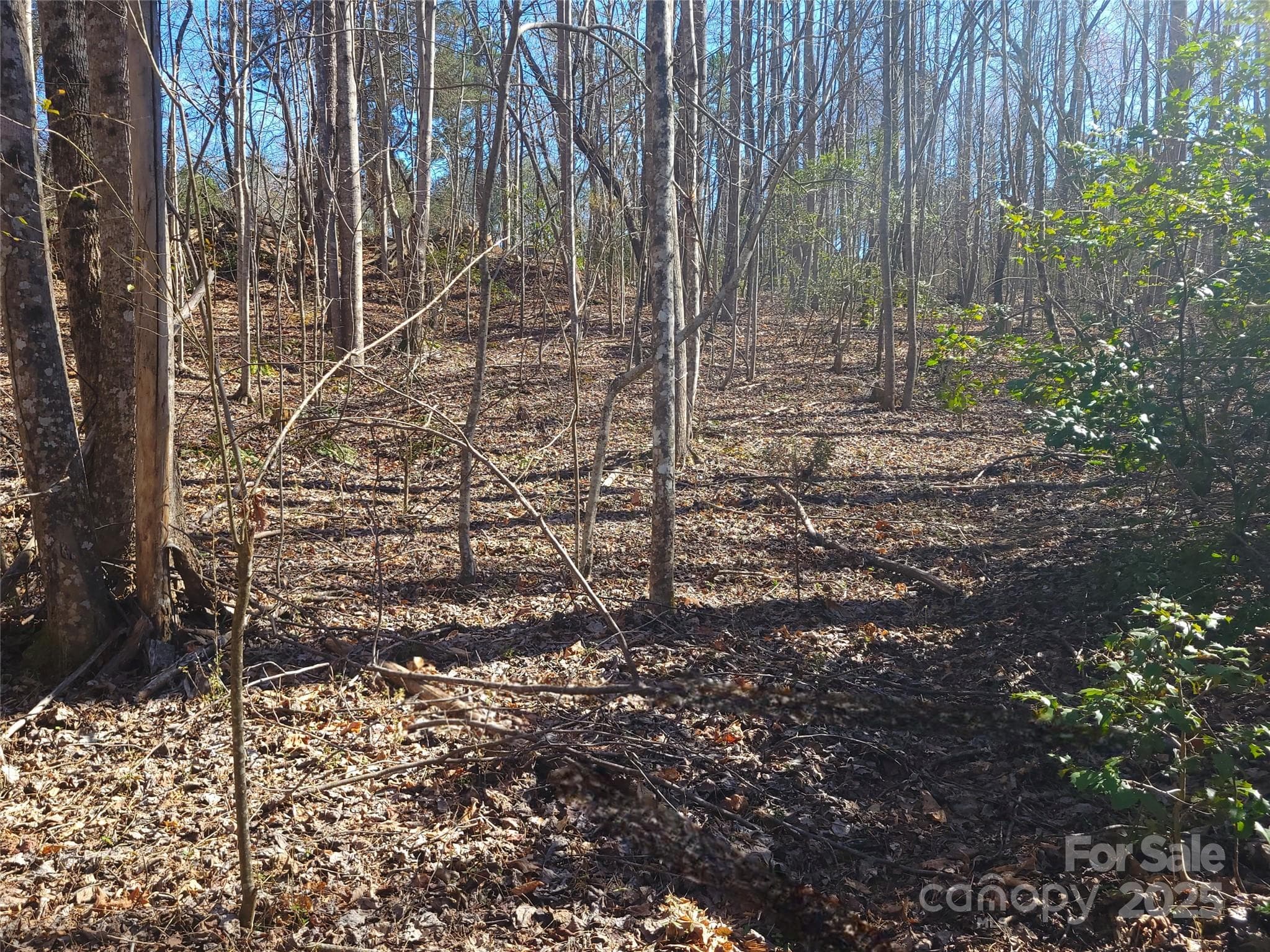 Lot at 000 Skylark Lane, Tryon, photo 13 of 16