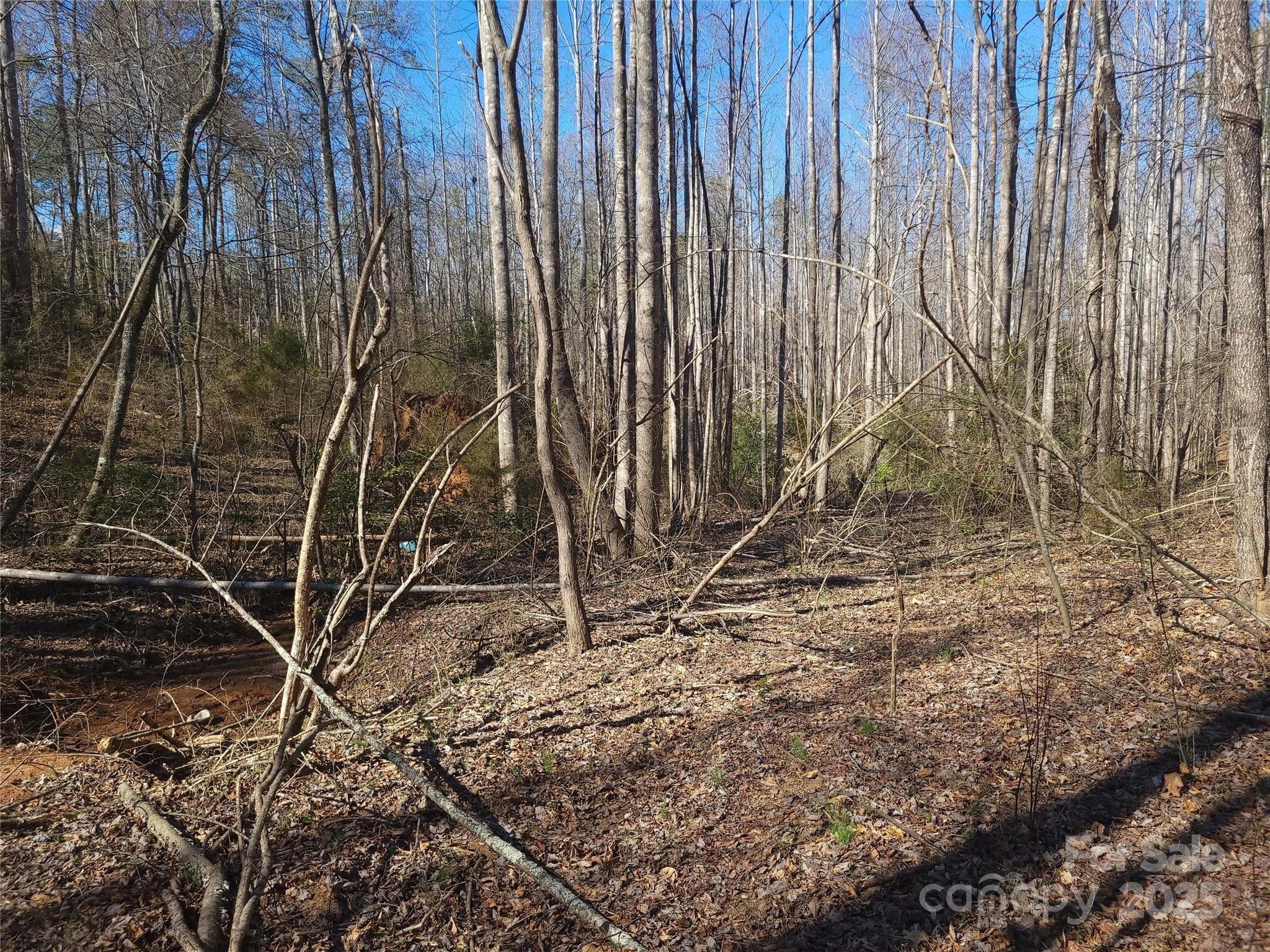 Lot at 000 Skylark Lane, Tryon, photo 14 of 16