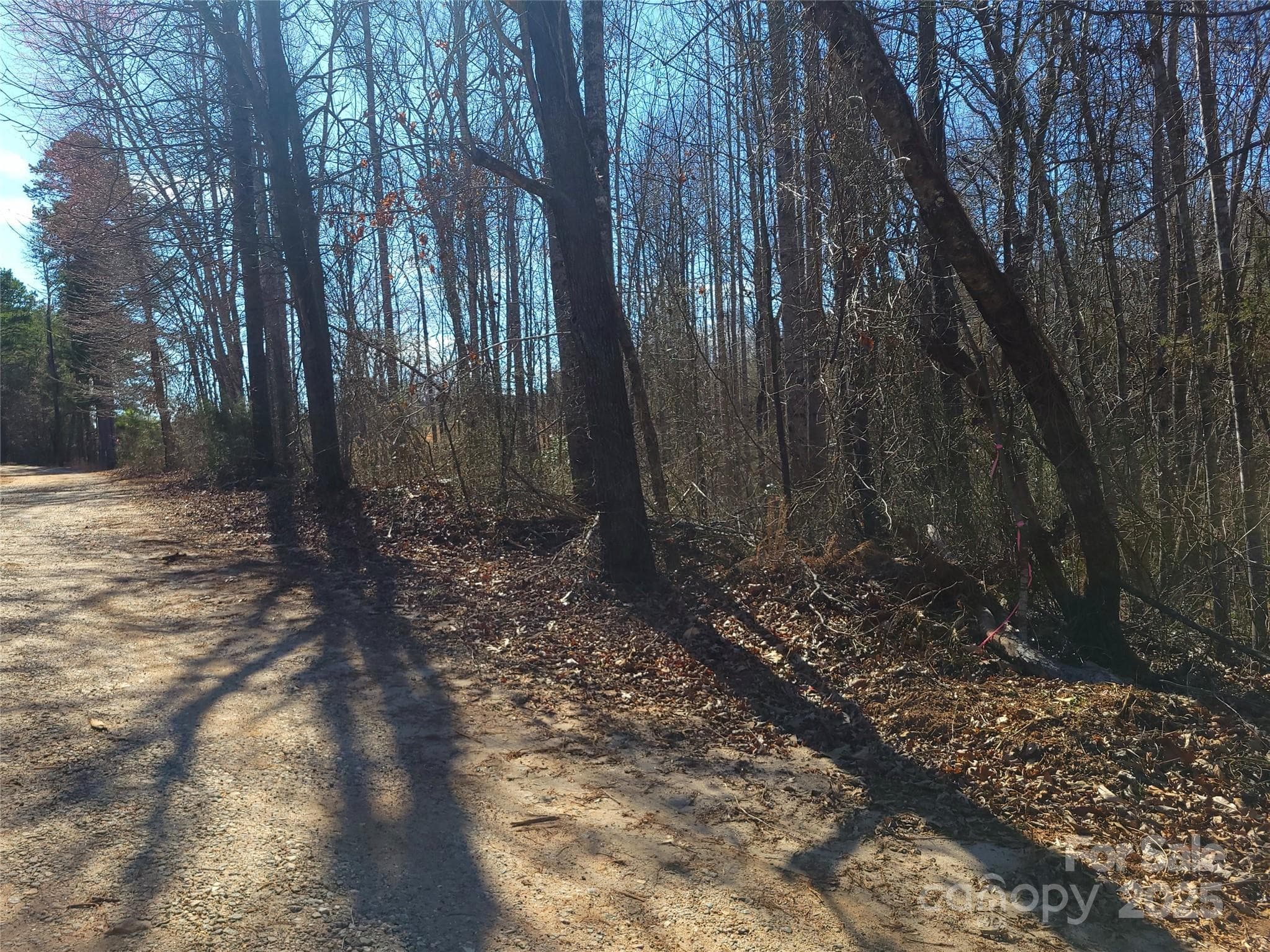Lot at 000 Skylark Lane, Tryon, photo 15 of 16
