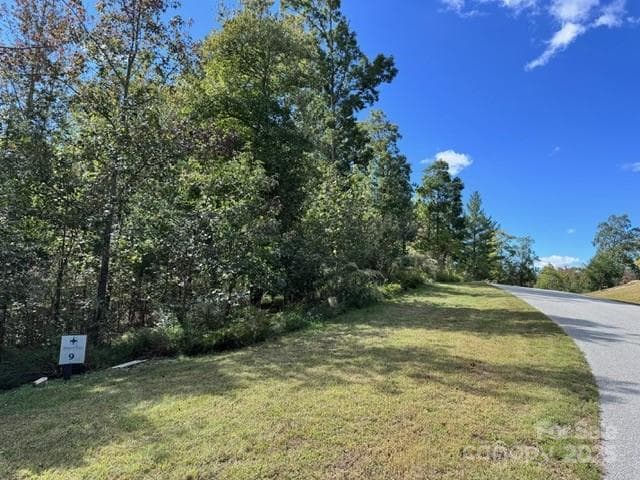 Lot at Nebo, photo 3 of 15