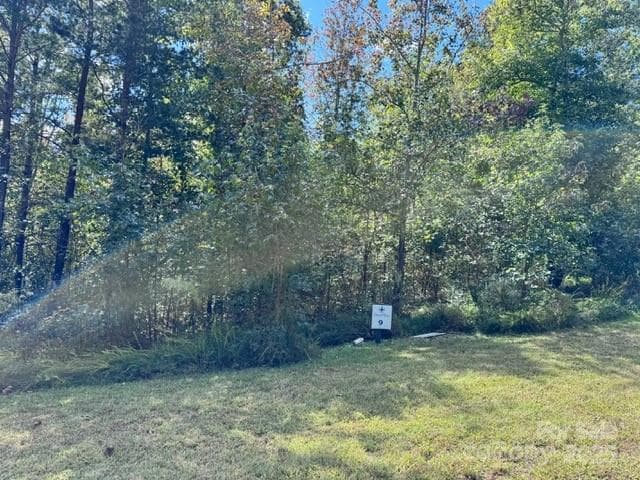 Lot at Nebo, photo 4 of 15