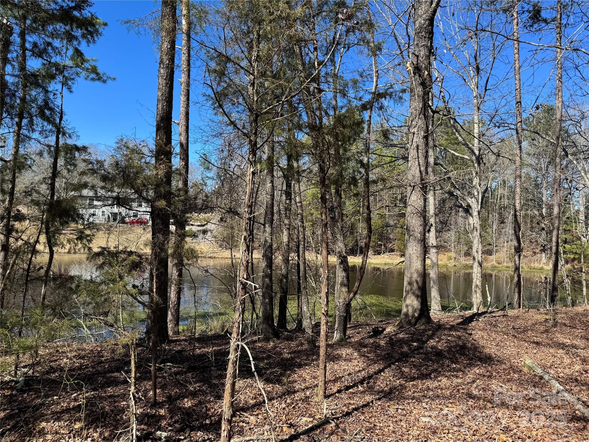 View of pond from homesite - 1905 Bechtler Road, Edgemoor