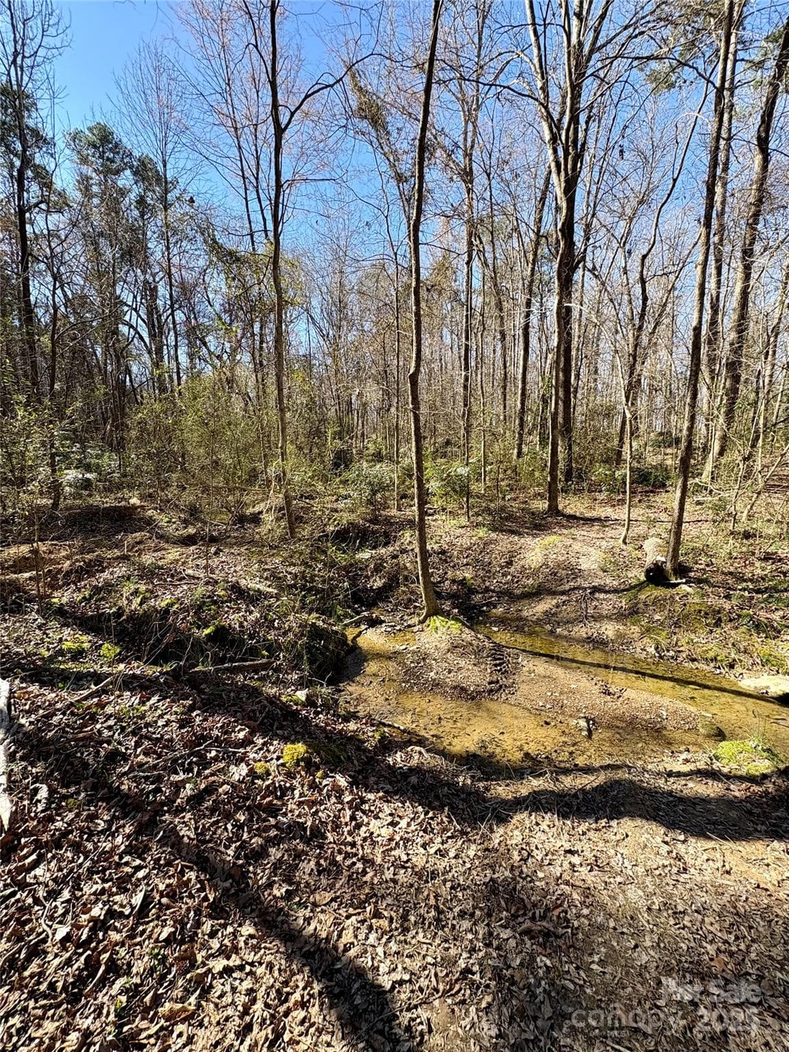Acreage at 1417 Ellis Griffin Road, Wingate, photo 4 of 18