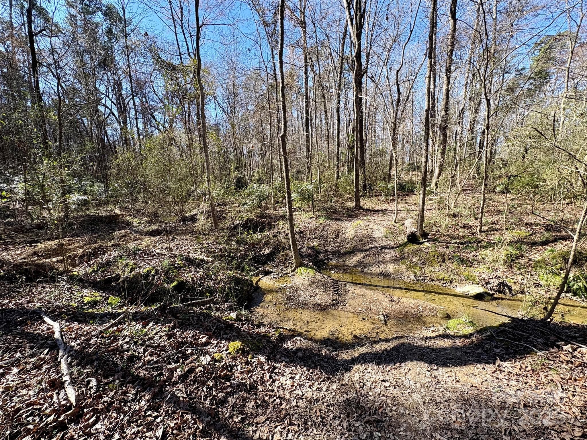 Acreage at 1417 Ellis Griffin Road, Wingate, photo 5 of 18