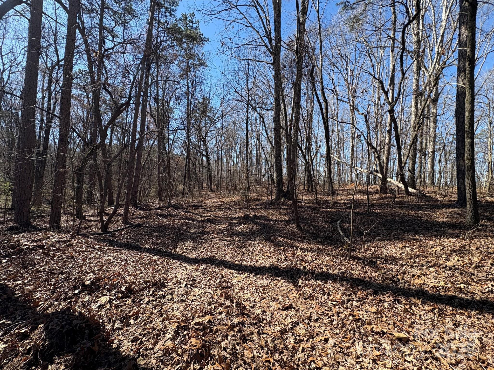 Acreage at 1417 Ellis Griffin Road, Wingate, photo 7 of 18