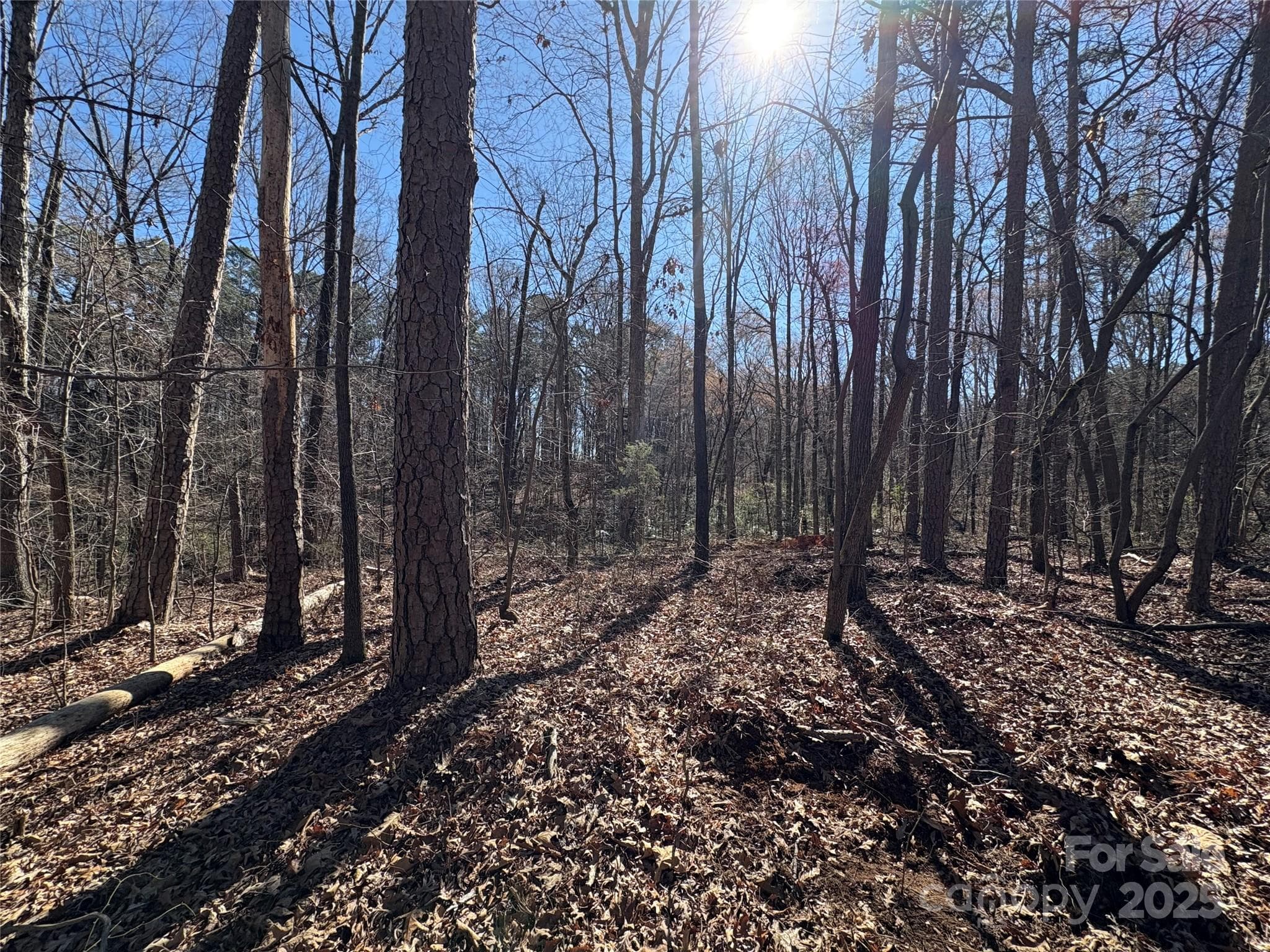 Acreage at 1417 Ellis Griffin Road, Wingate, photo 8 of 18