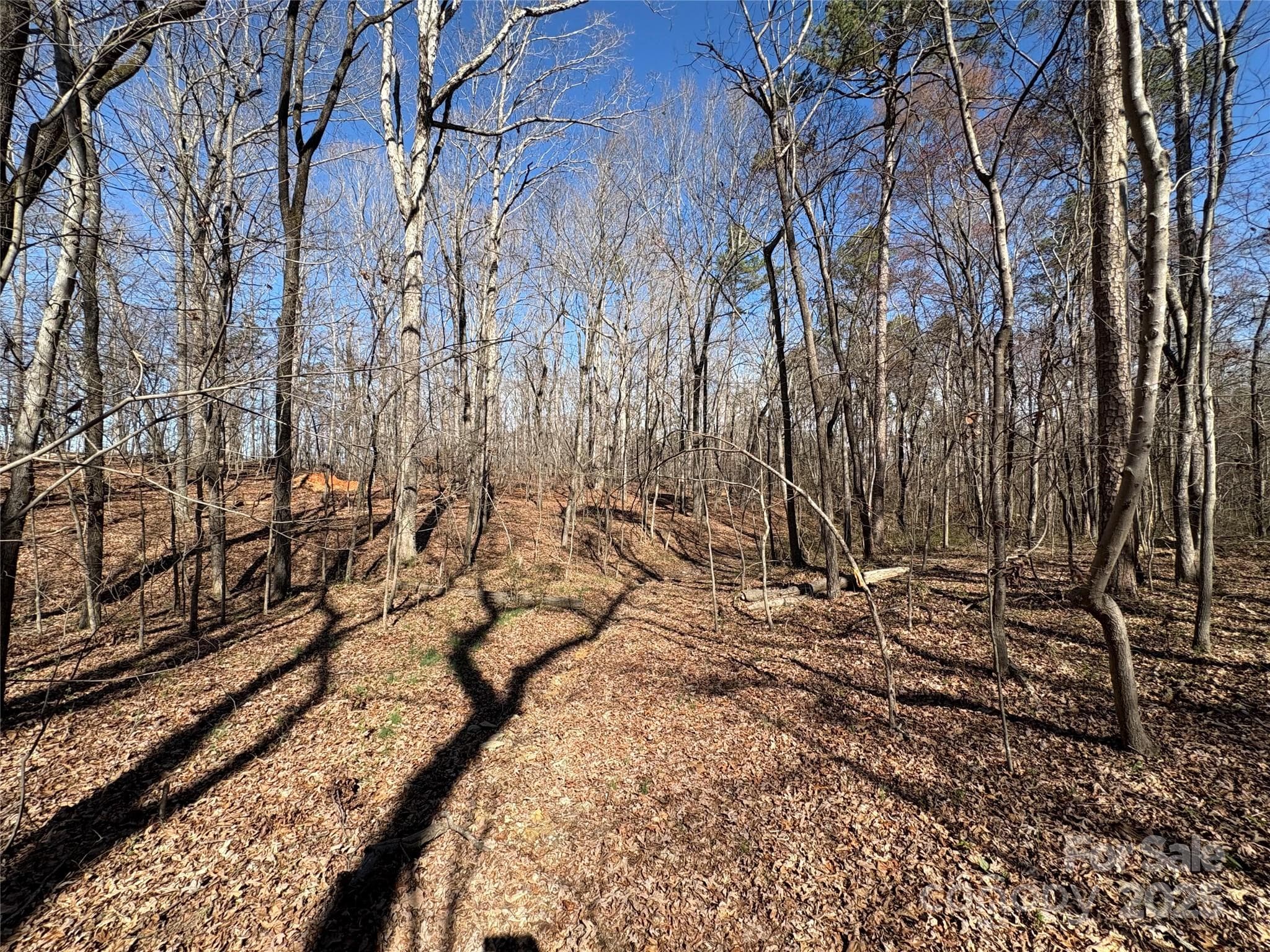 Acreage at 1417 Ellis Griffin Road, Wingate, photo 9 of 18