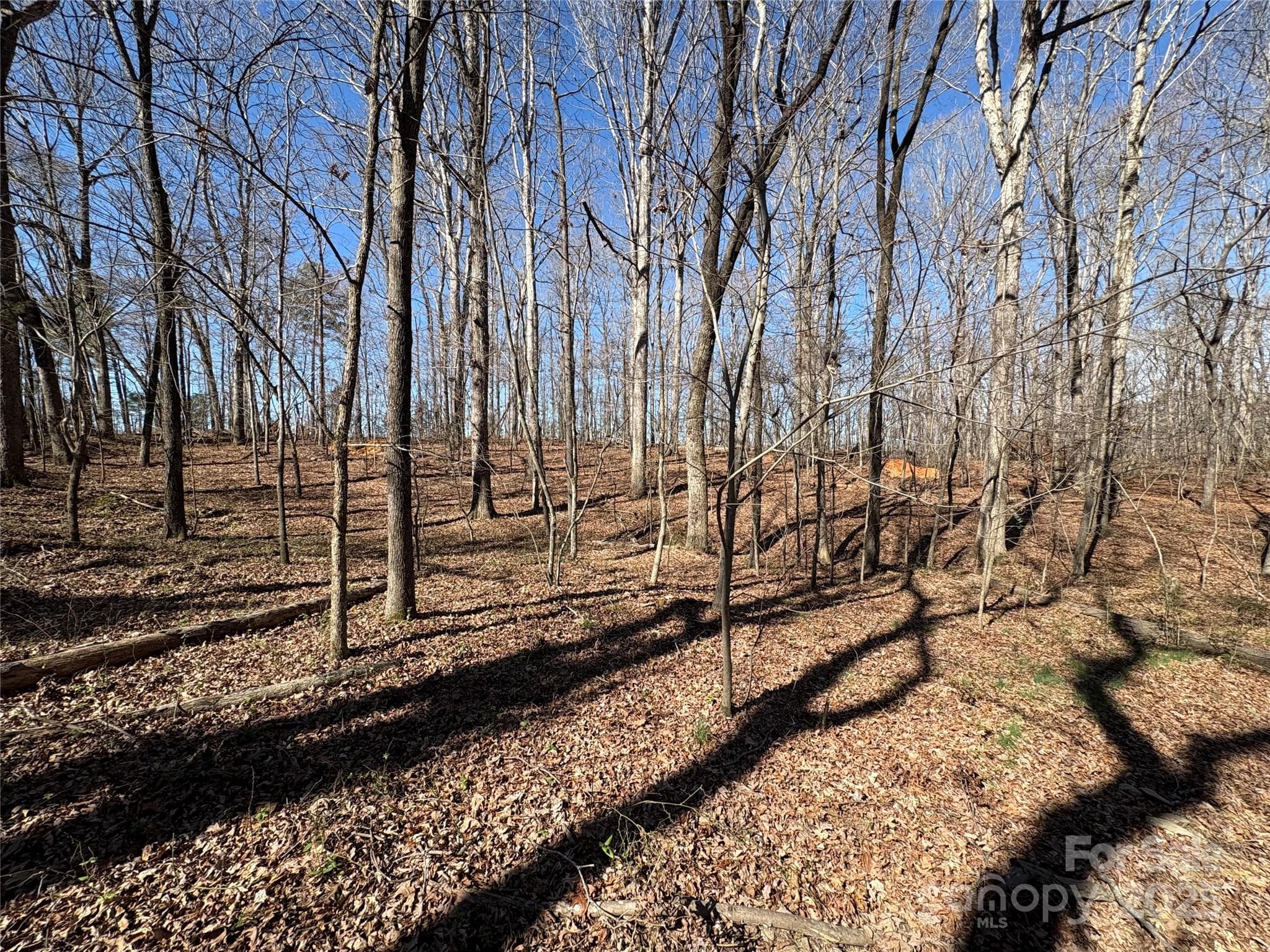 Acreage at 1417 Ellis Griffin Road, Wingate, photo 10 of 18