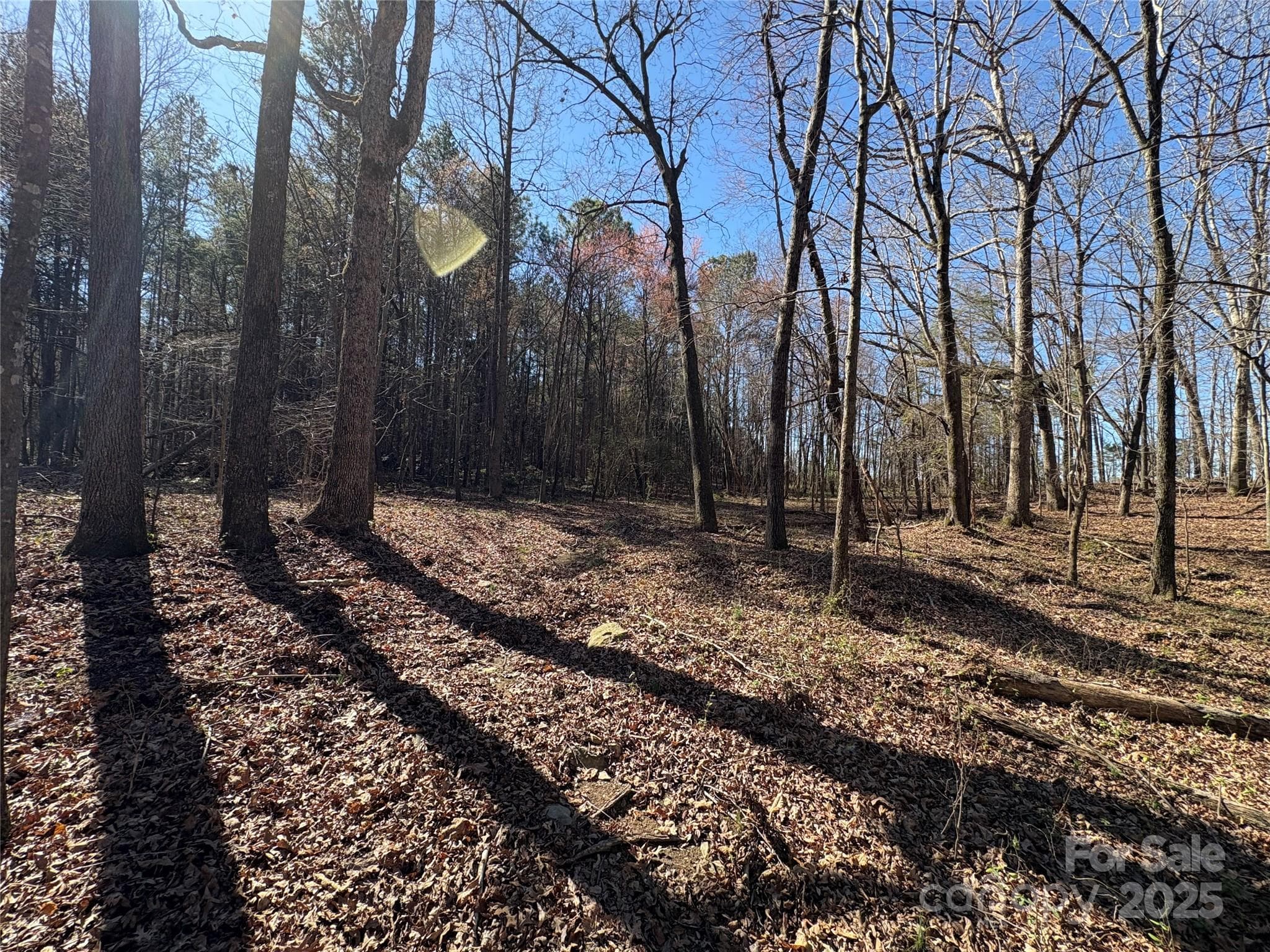 Acreage at 1417 Ellis Griffin Road, Wingate, photo 11 of 18