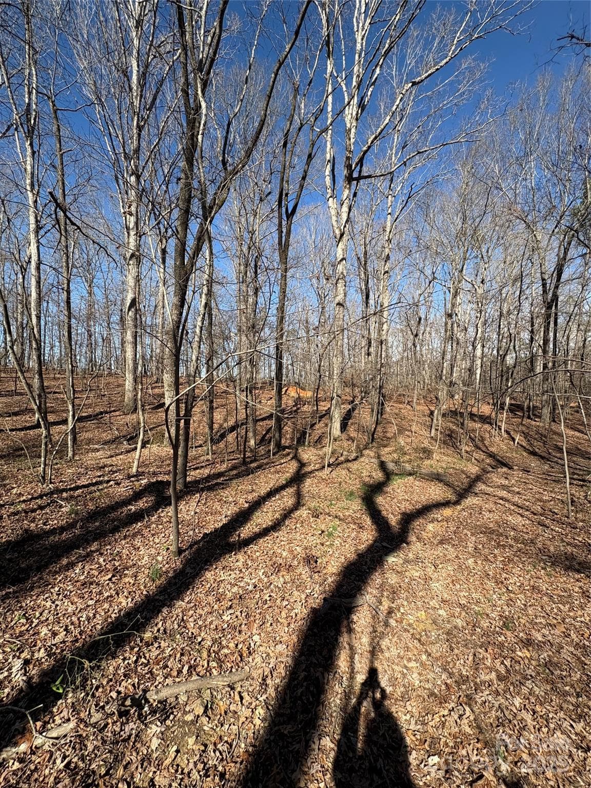 Acreage at 1417 Ellis Griffin Road, Wingate, photo 12 of 18