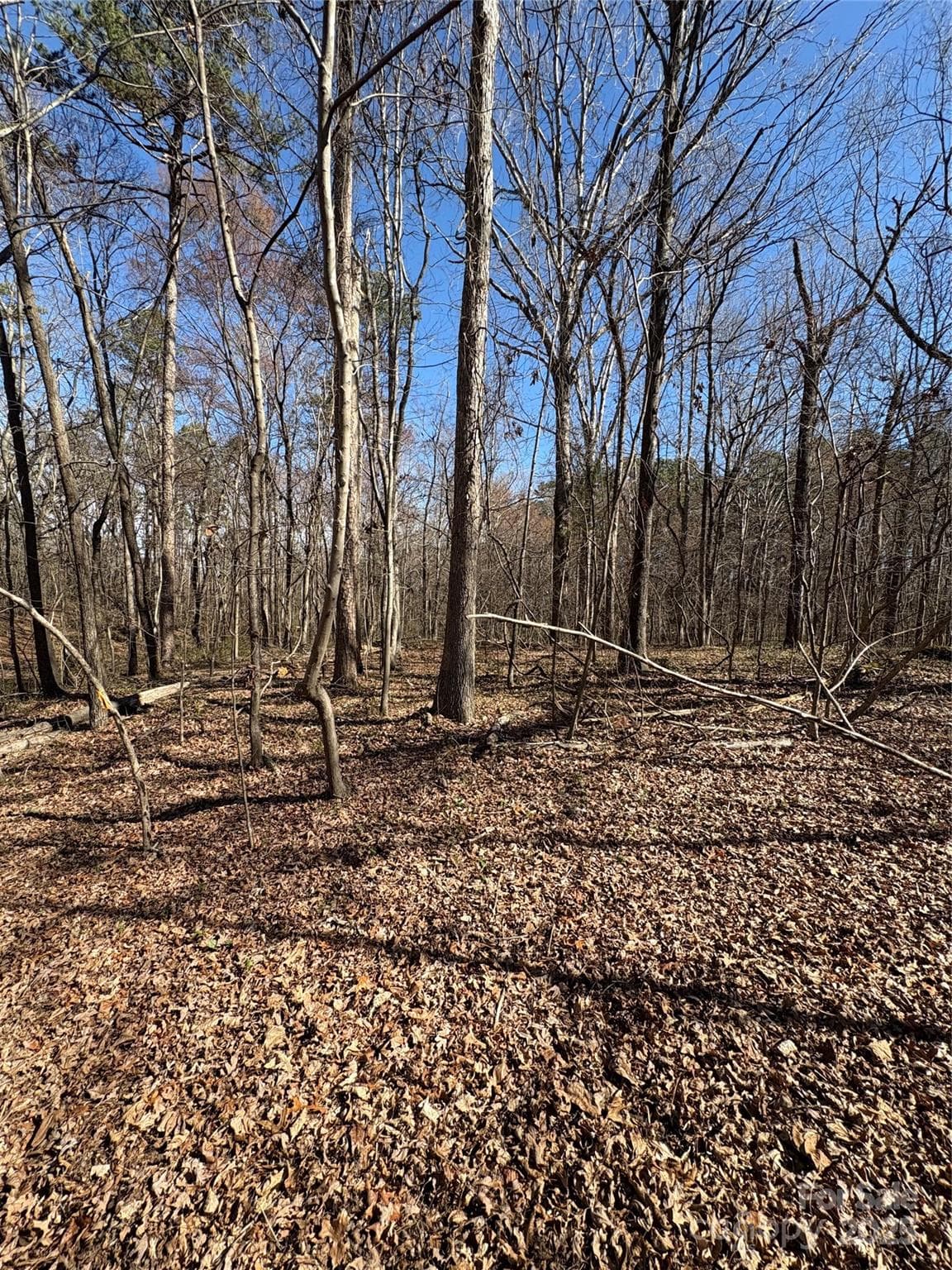 Acreage at 1417 Ellis Griffin Road, Wingate, photo 13 of 18