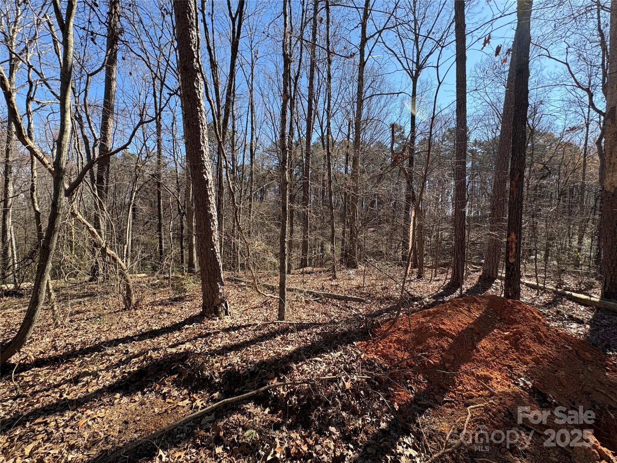 Acreage at 1417 Ellis Griffin Road, Wingate, photo 14 of 18