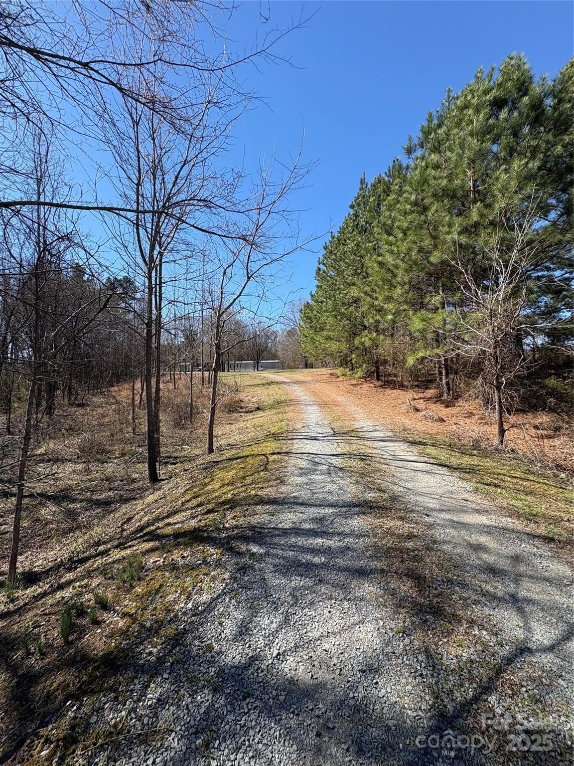 Acreage at 1417 Ellis Griffin Road, Wingate, photo 15 of 18