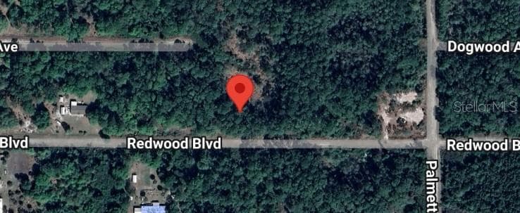 324 REDWOOD BLVD
