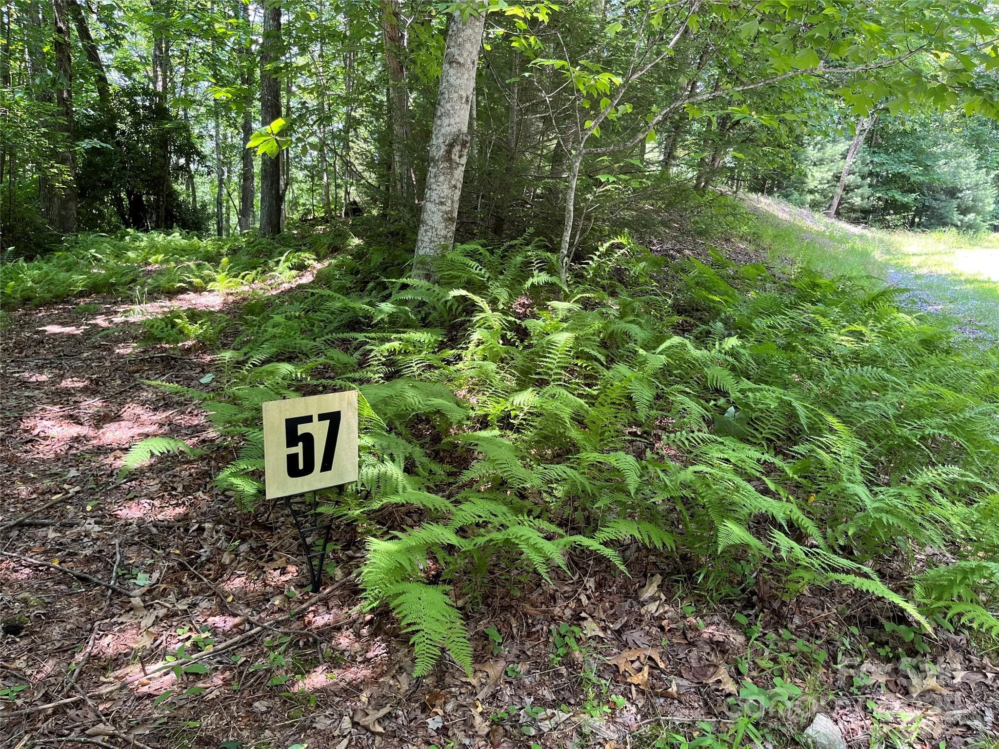 Lot at Brevard, photo 2 of 20
