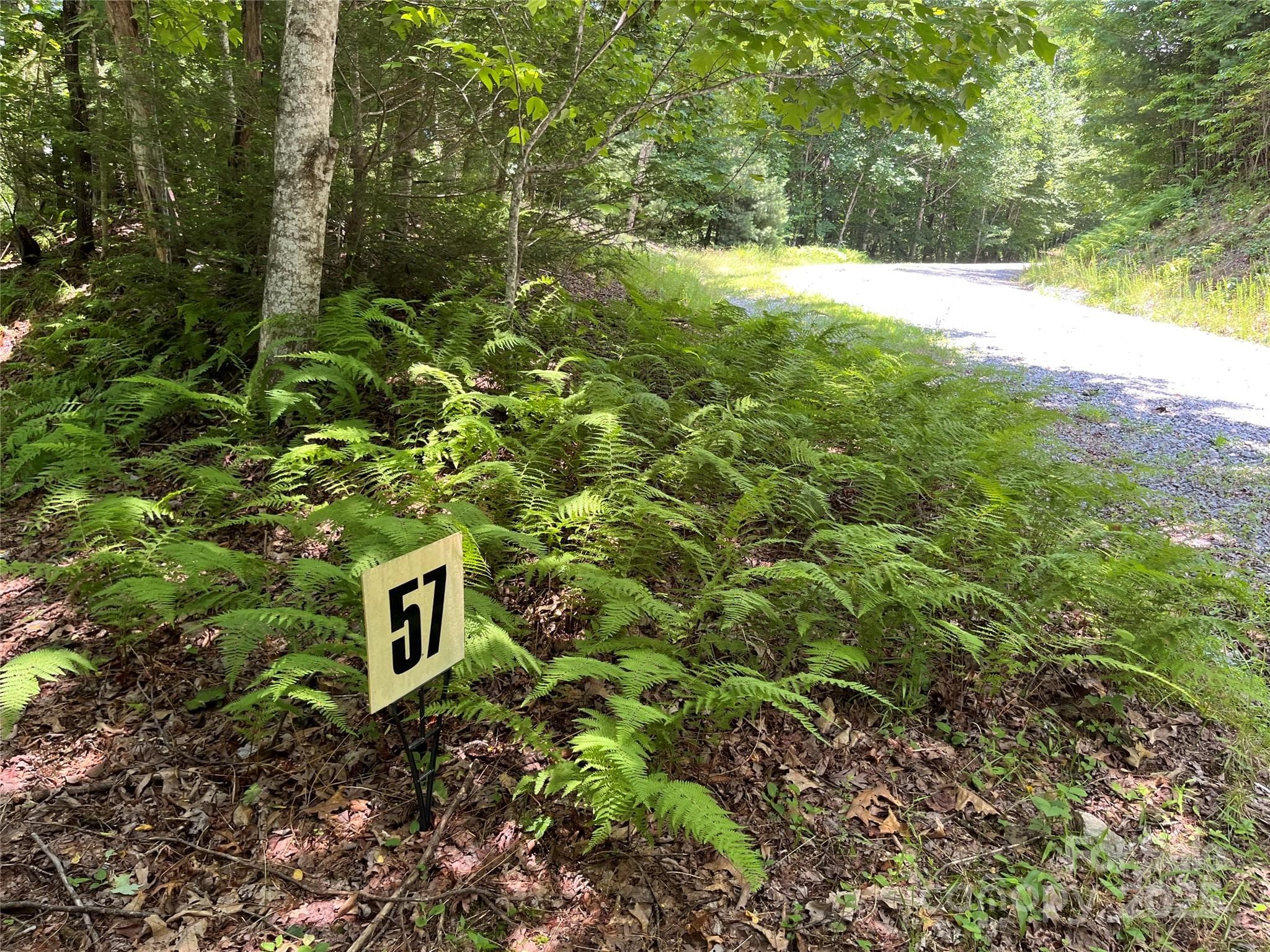 Lot at Brevard, photo 3 of 20