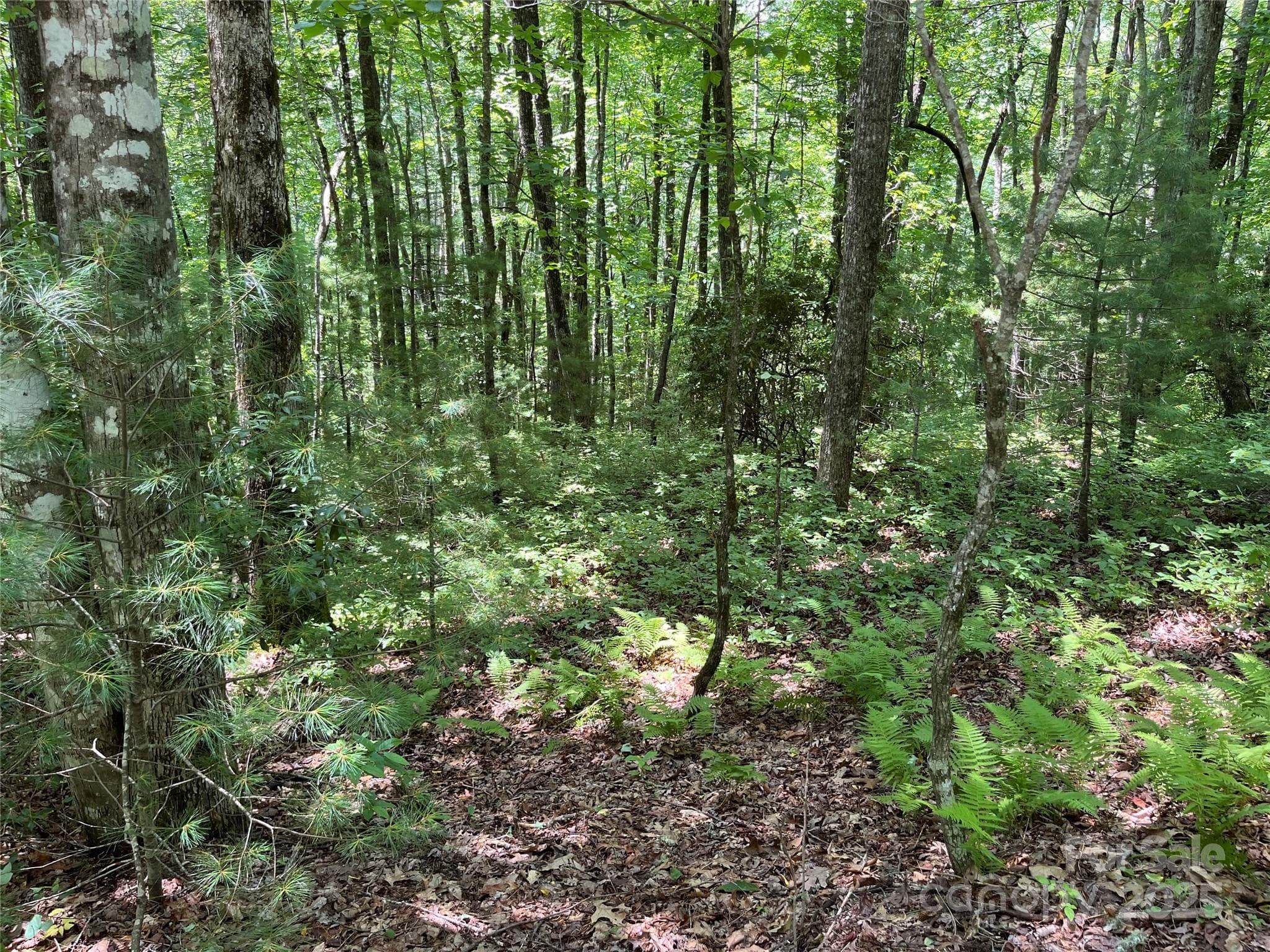 Lot at Brevard, photo 4 of 20