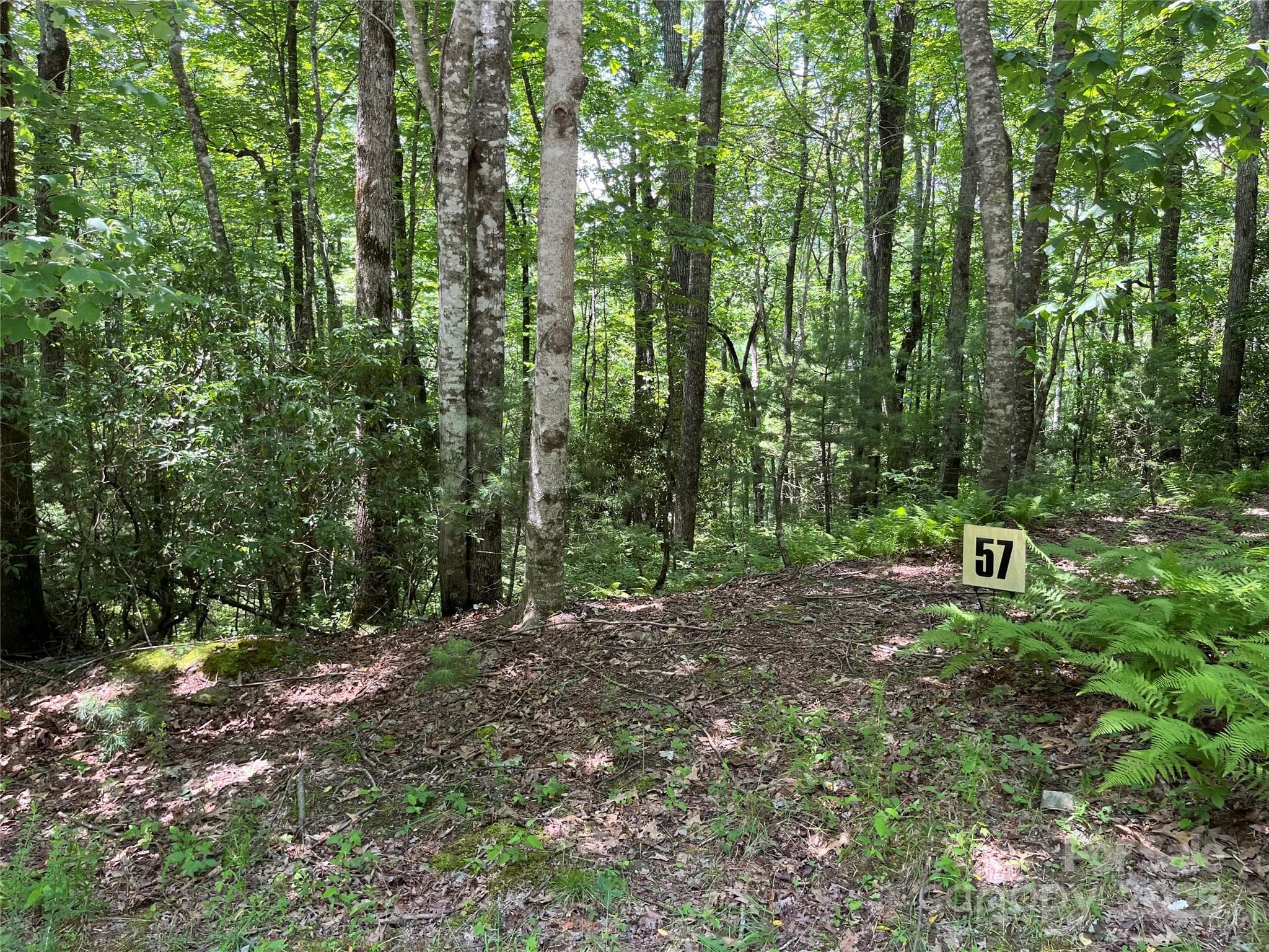 Lot at Brevard, photo 5 of 20